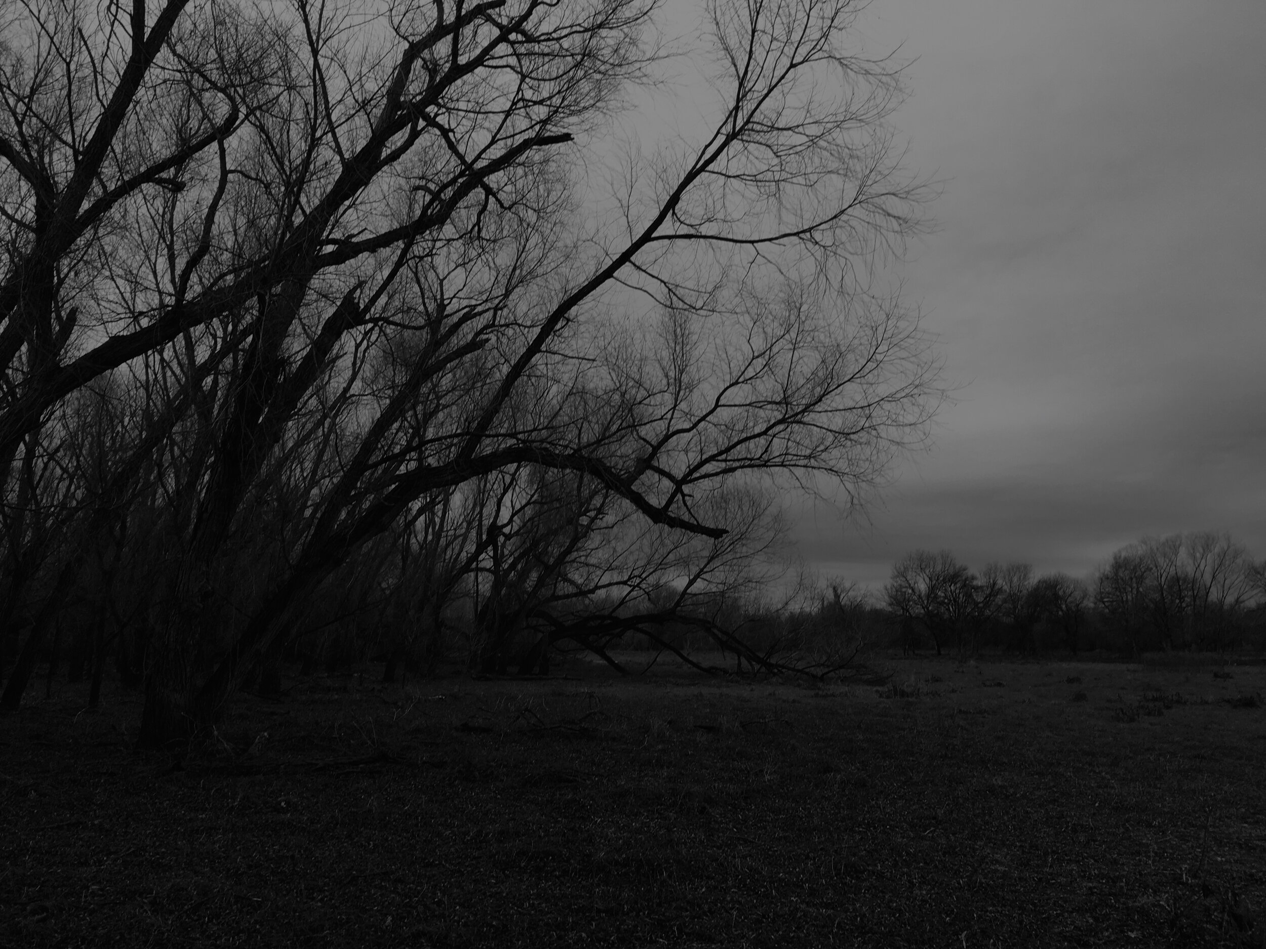 Dawn