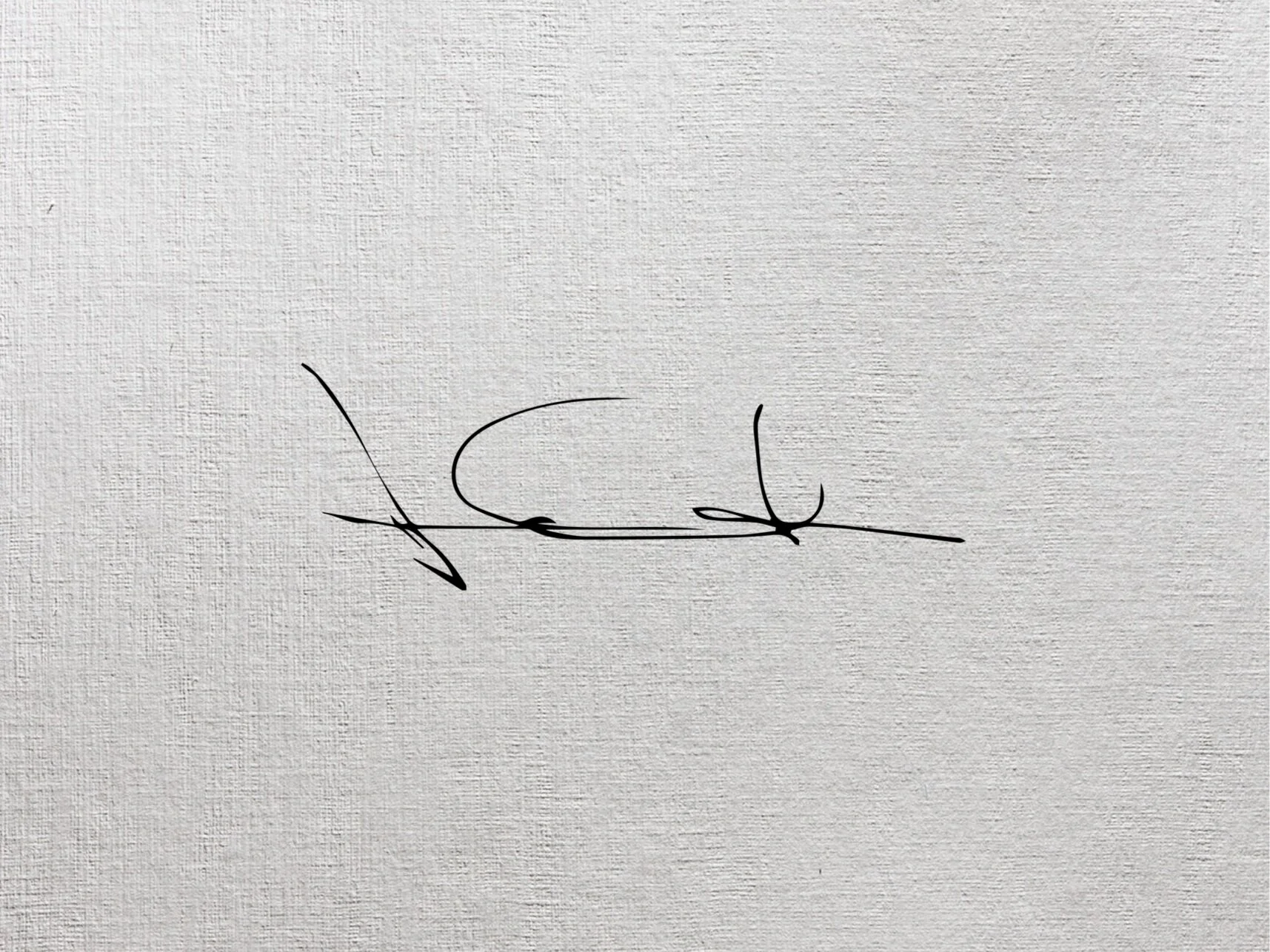 Joan Didion Netflix Promo