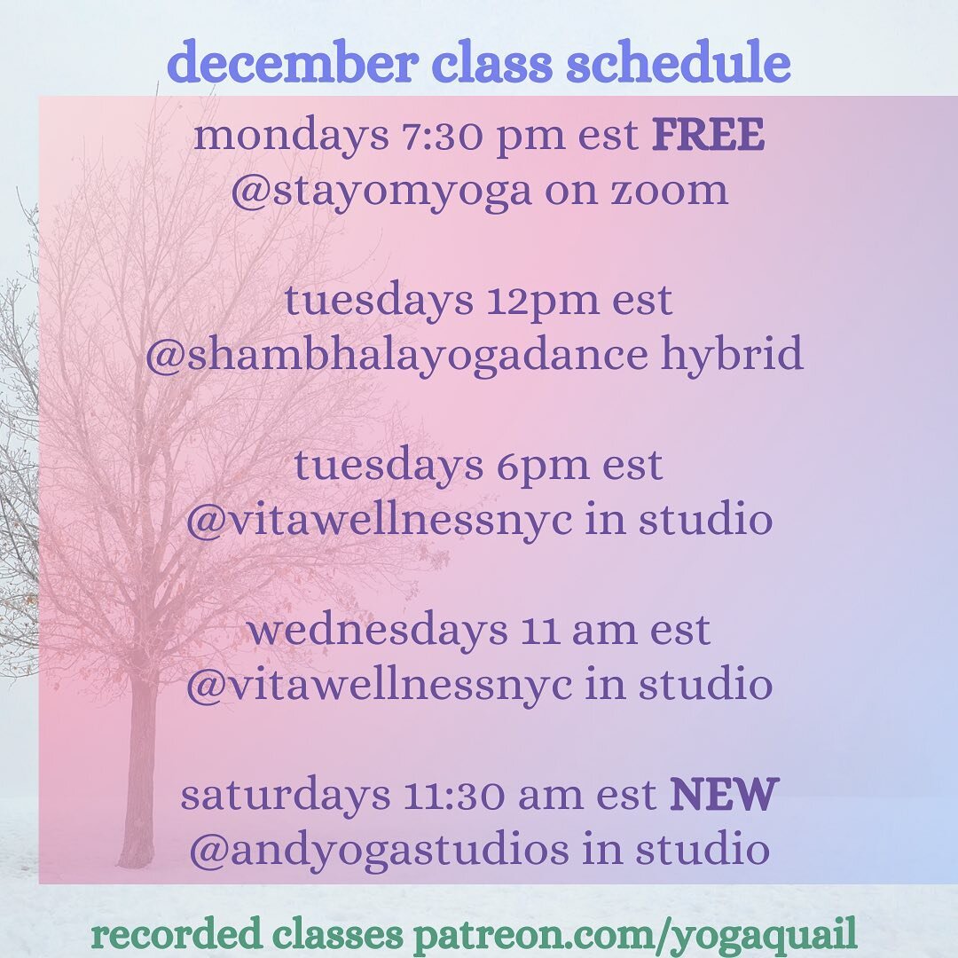 december classes 💓 including a NEW in person class at @andyogastudios !!

what an honor and privilege to serve the community in p heights and bedstuy! swami vivekananda says we do not work to help the world; the world will go on with or without us -