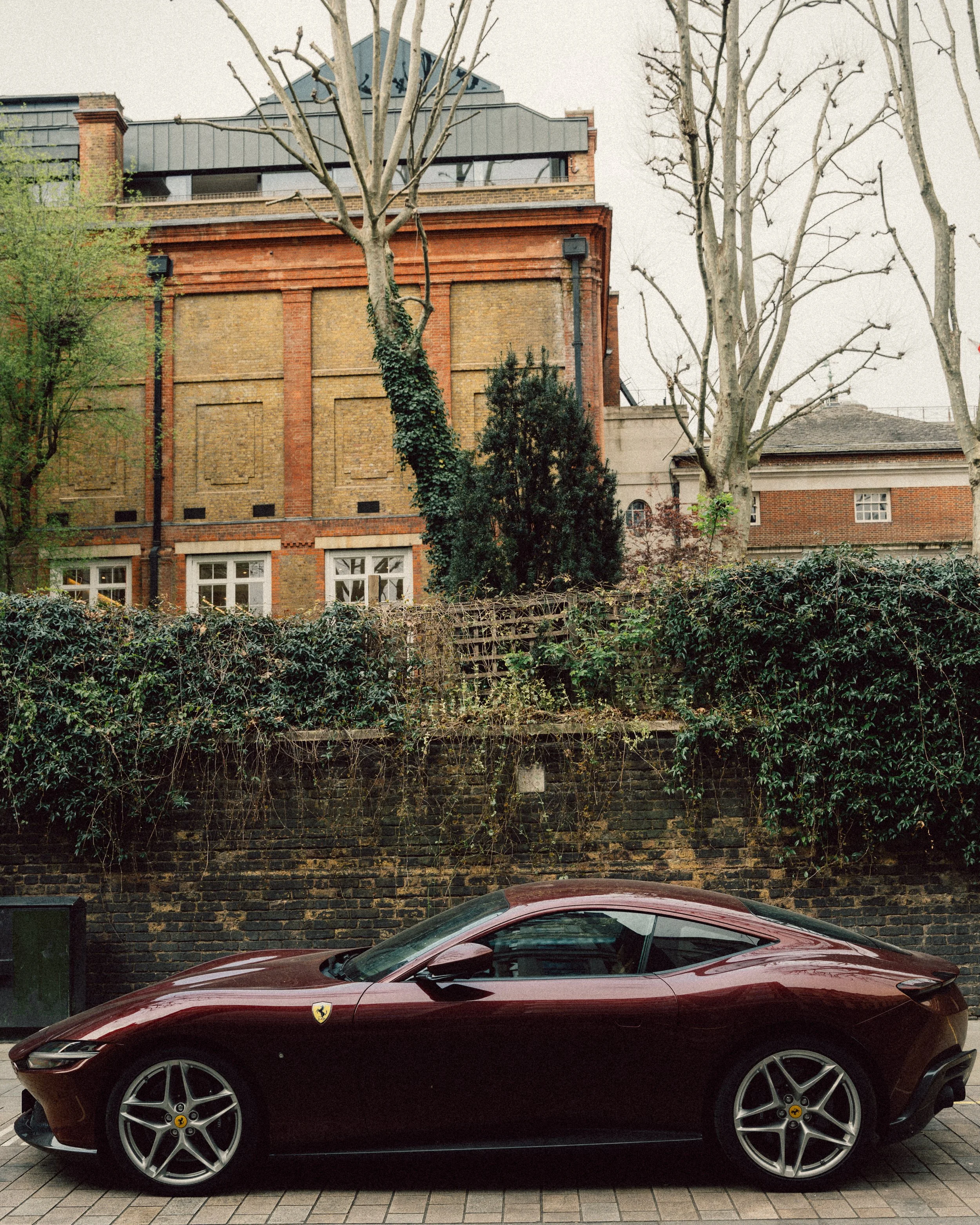 Ferrari.jpg