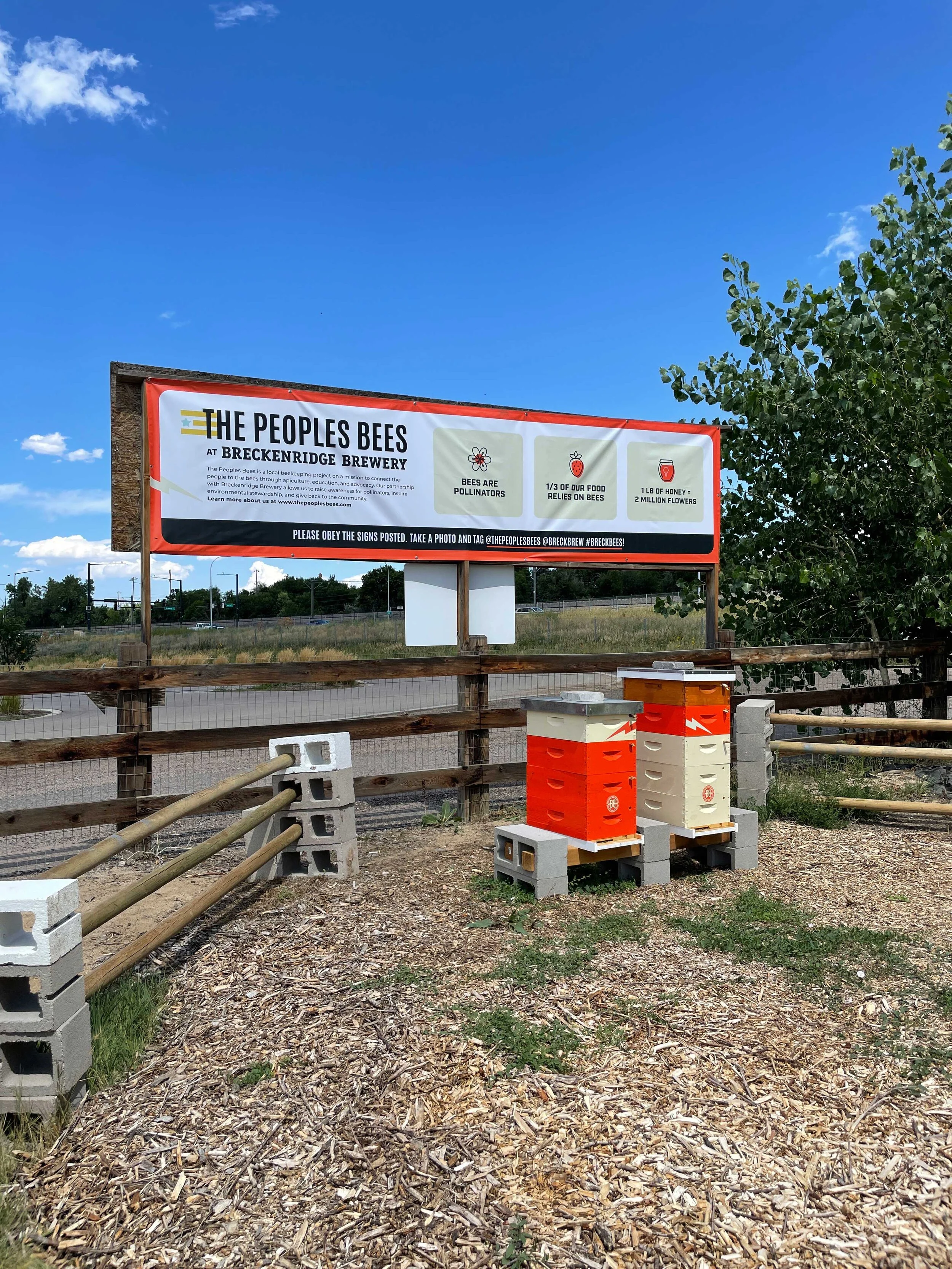 breck-apiary.JPG