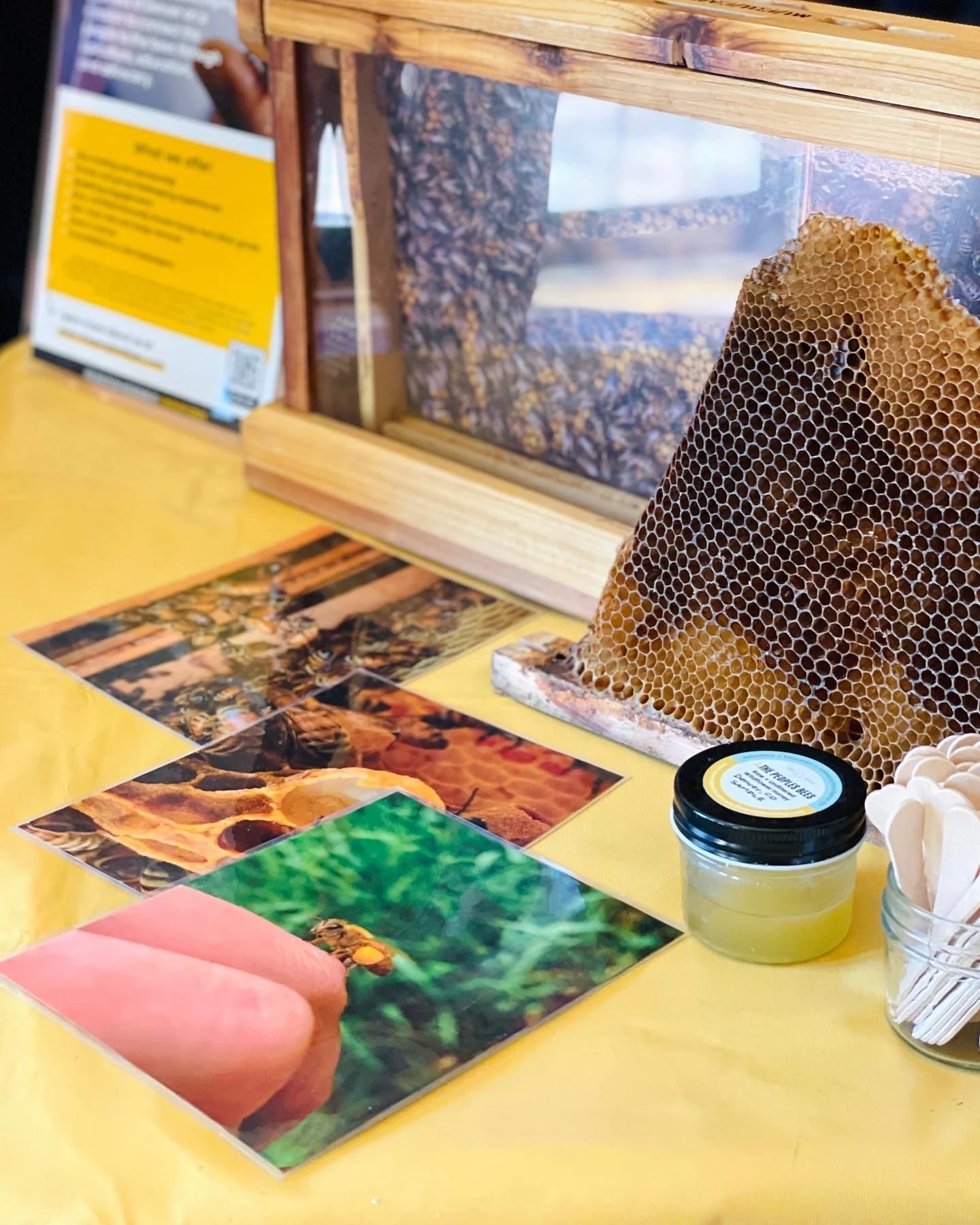 A table display of detailed bee photos, real beeswax comb, and a jar of honey for taste samples.