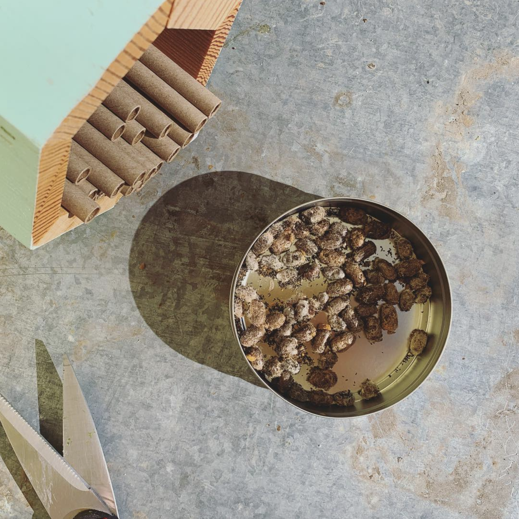 Build Your Own Solitary Bee House