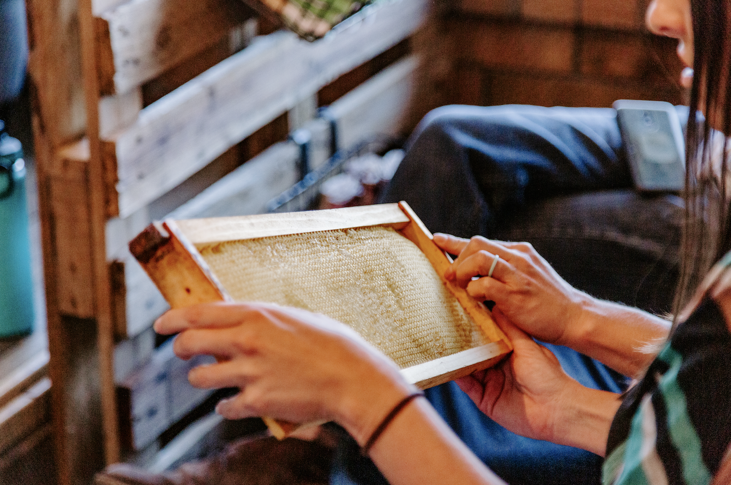 Screen Shot 2022-01-28 at 11.28.41 AM.png