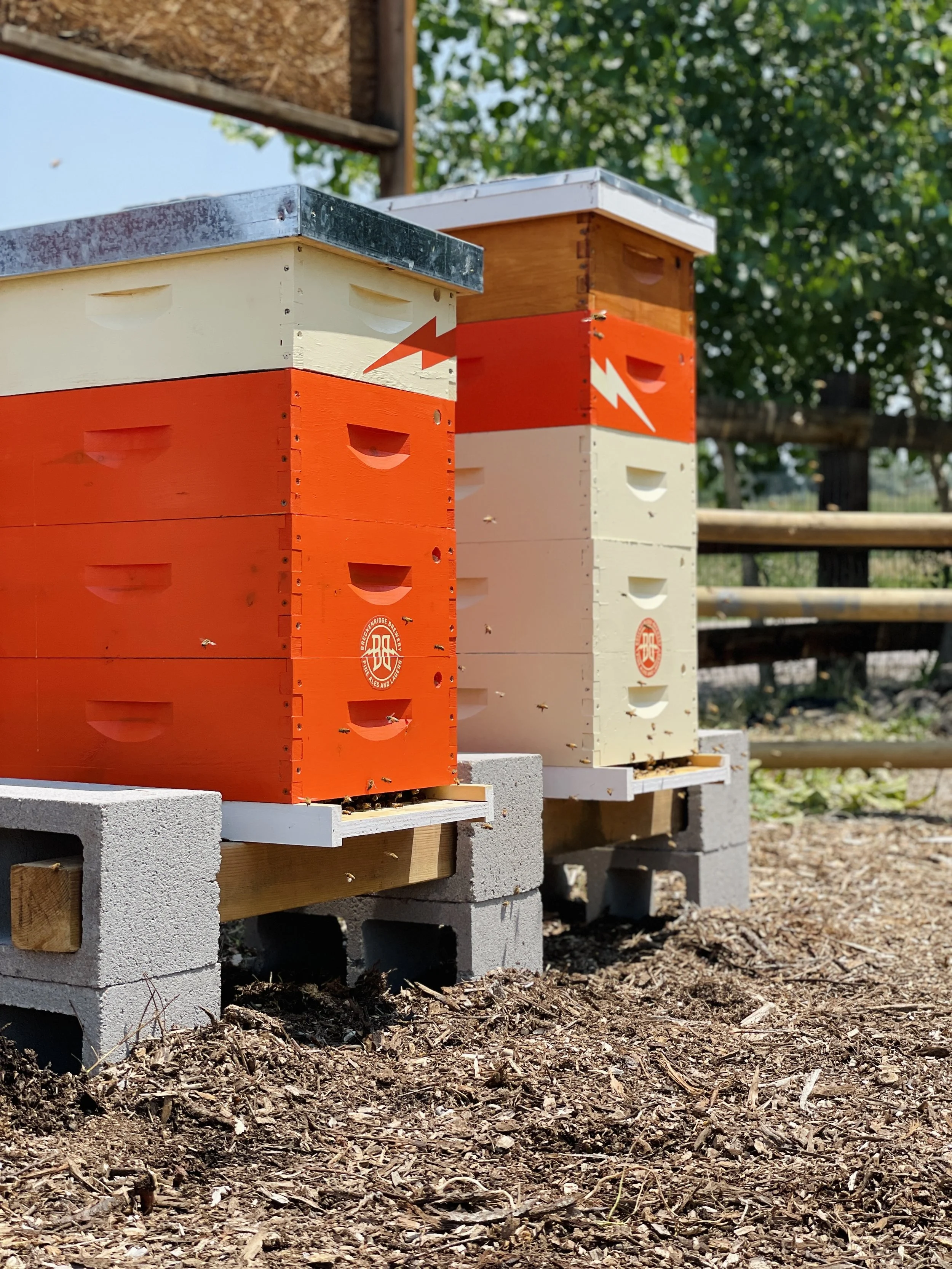 Two brightly colored beehives branded for our hive sponsor, Breckenridge Brewery.