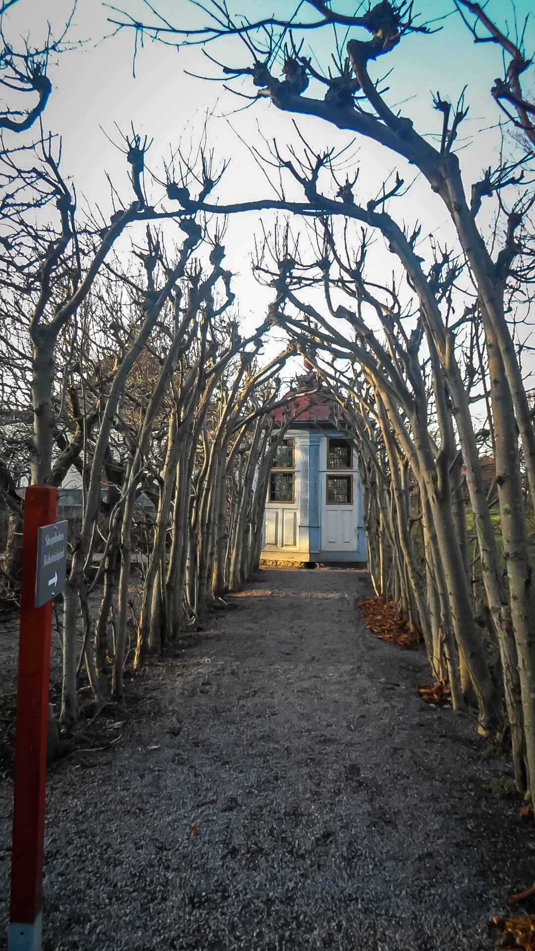 So I woke up 3am and...