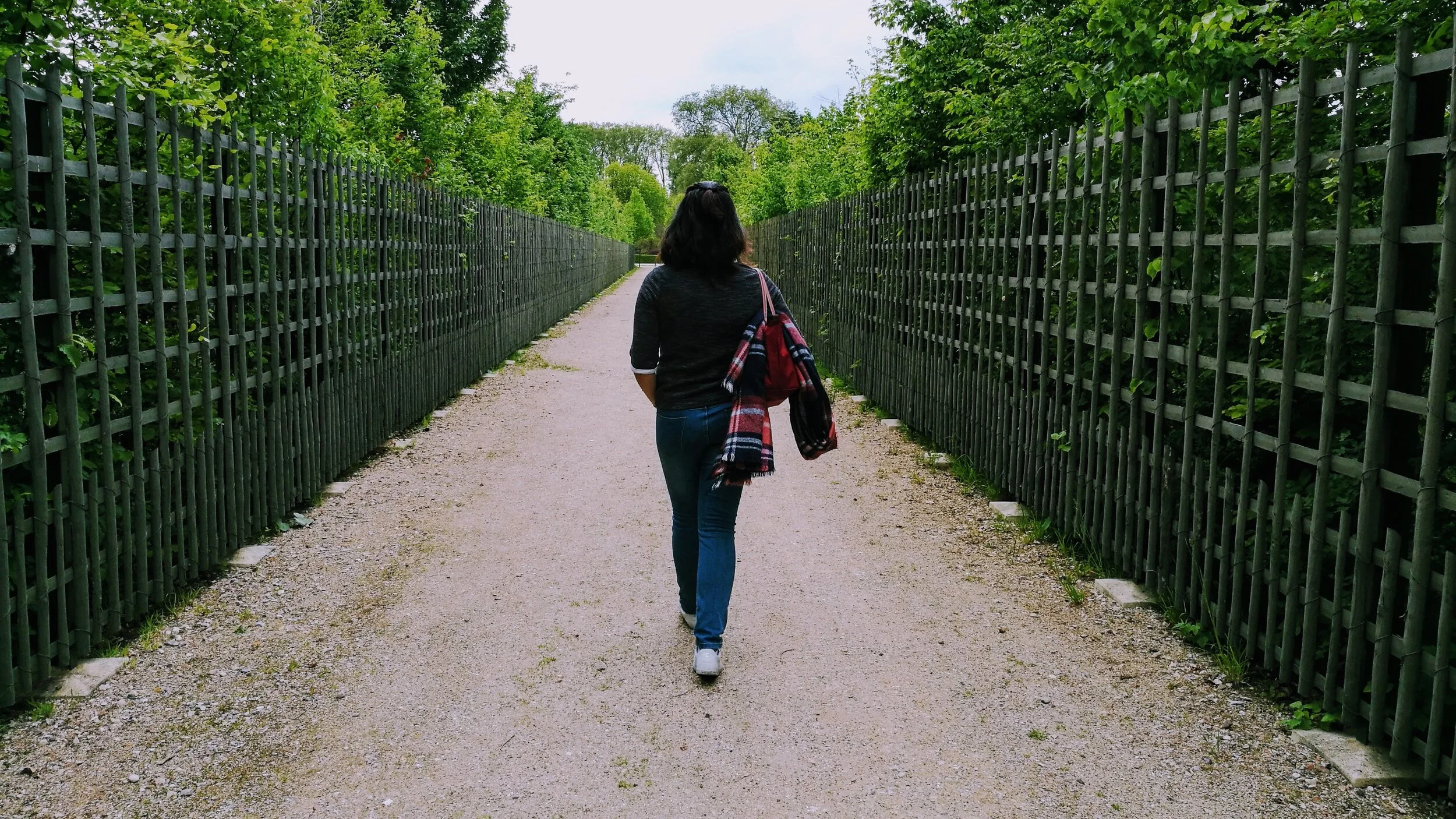 Life Update : May 2017