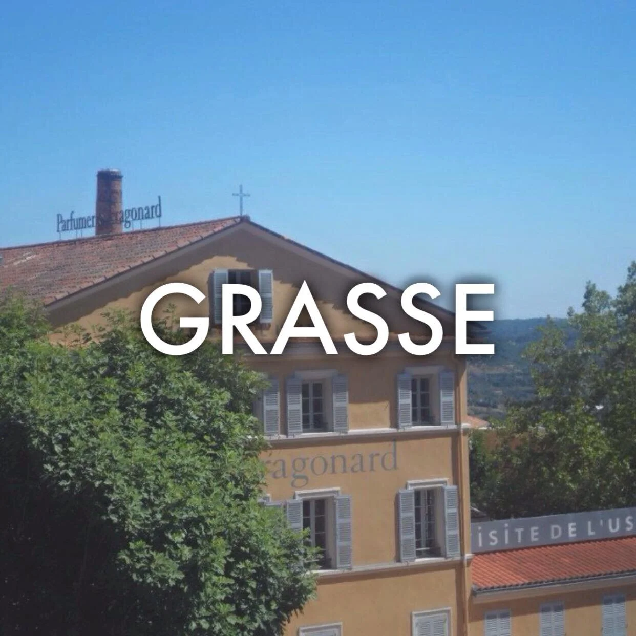 Grasse : August 2012