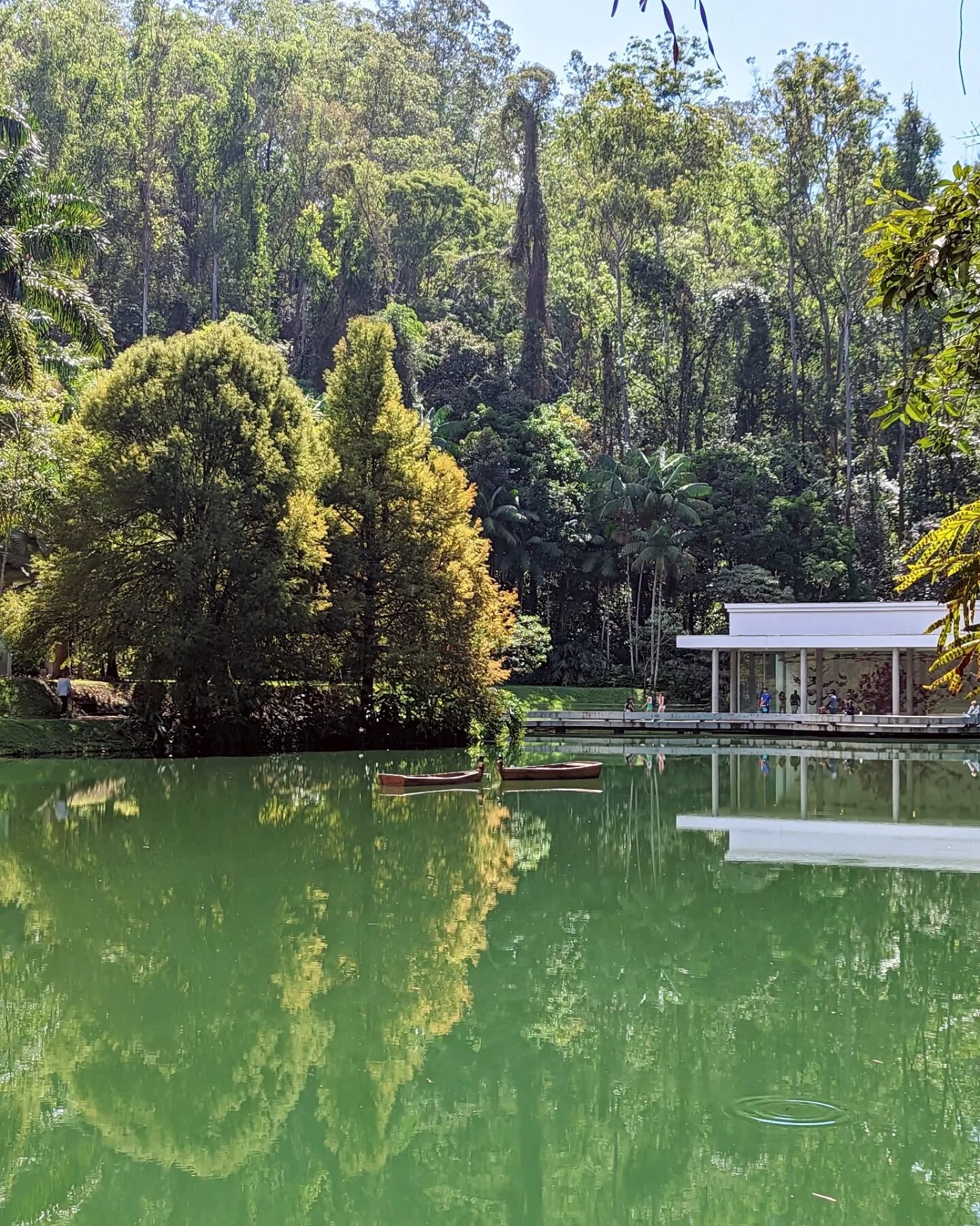 #Inhotim isn't your typical museum. It's an artistic wonderland sprawled across an expansive area of over 5,000 acres, being one of #LatinAmerica's most expansive outdoor art centers. Imagine strolling through tropical gardens, meandering around sere