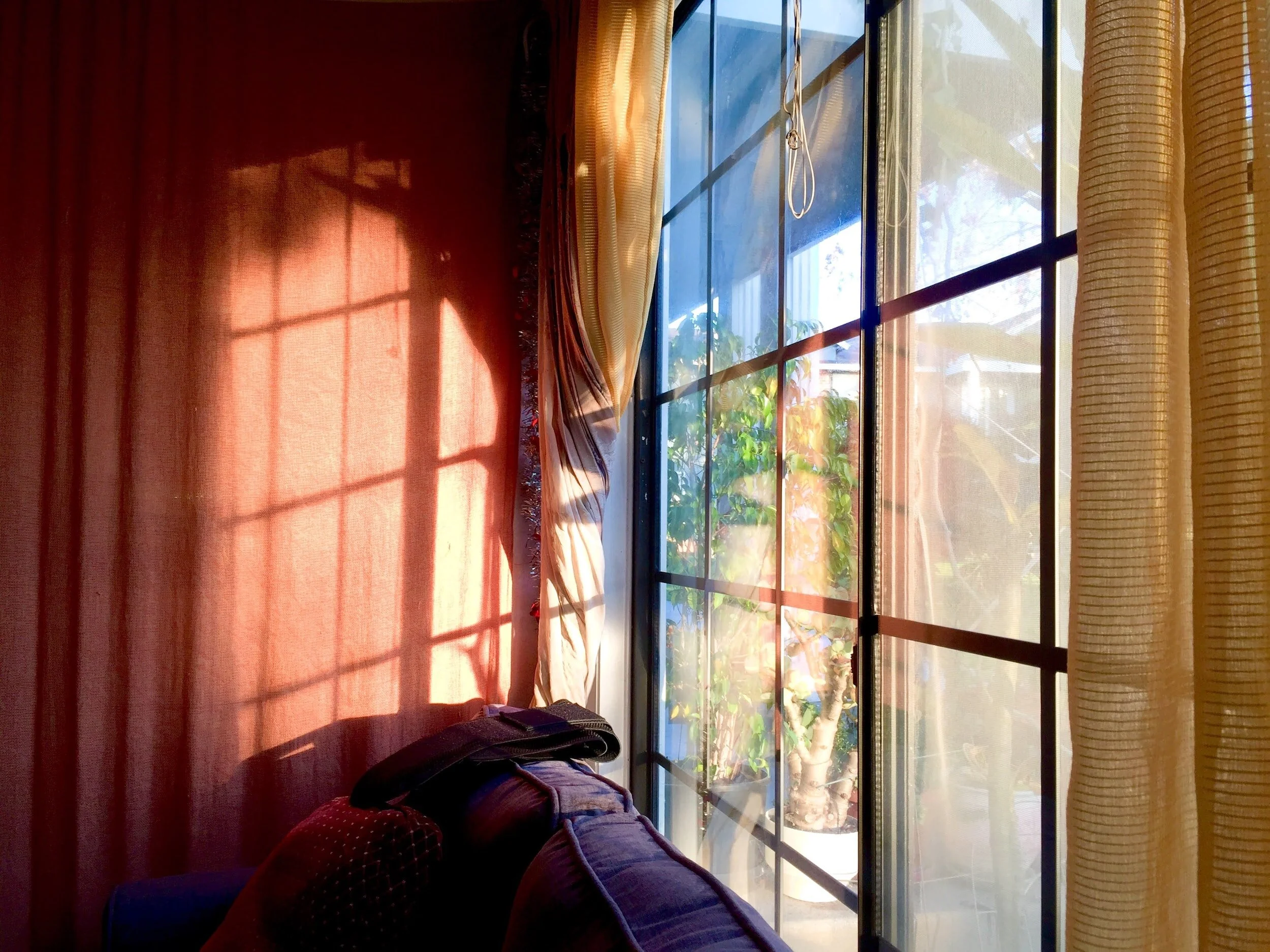 Life's quiet wonders