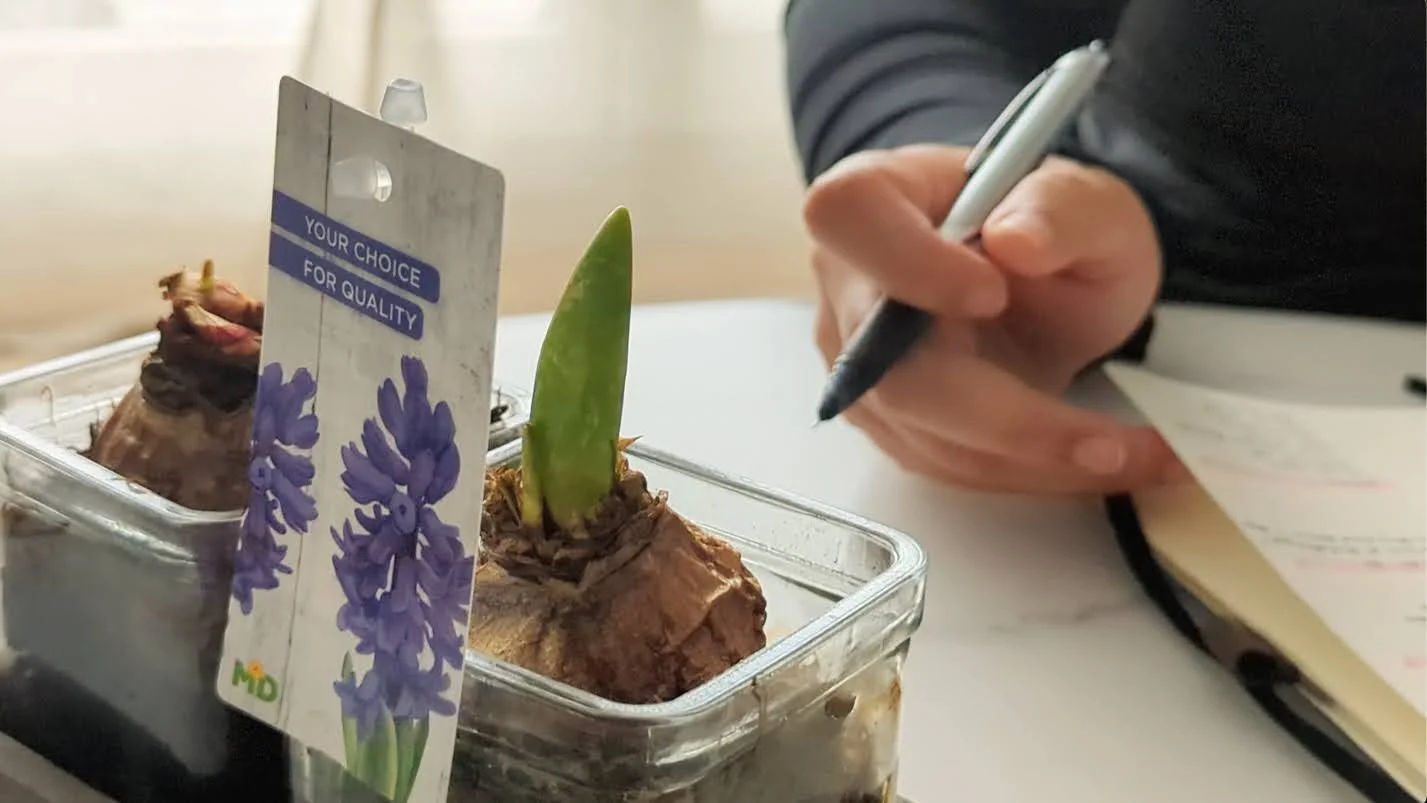 A retrospective look at Mondays as a language instructor