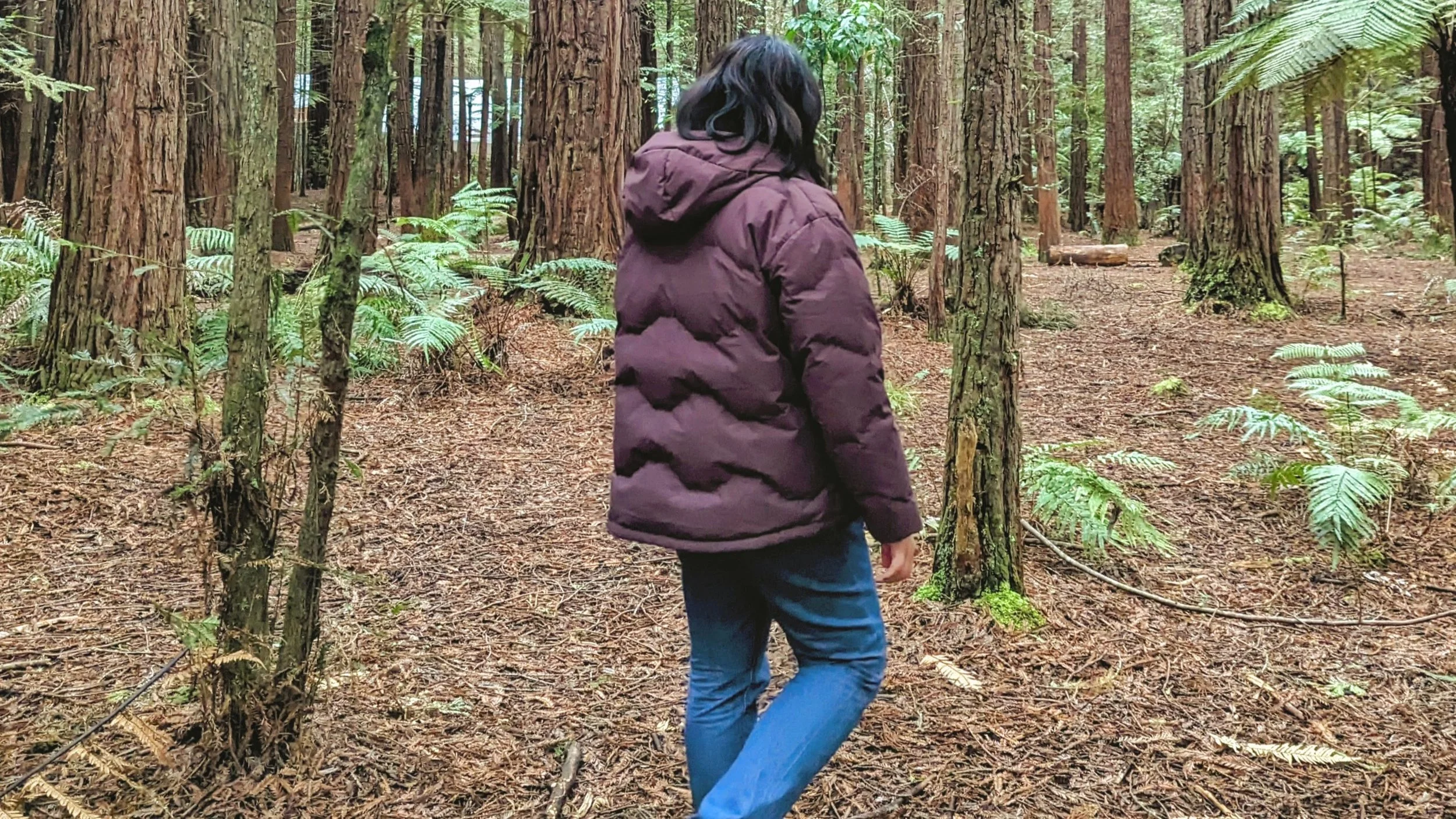 Where I Identify as an INFJ