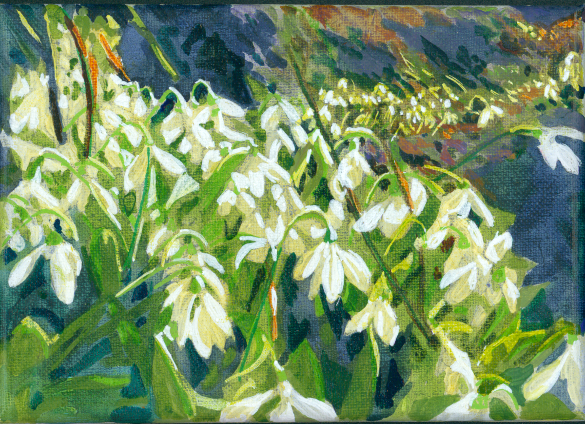 Snow Drops - Original Painting