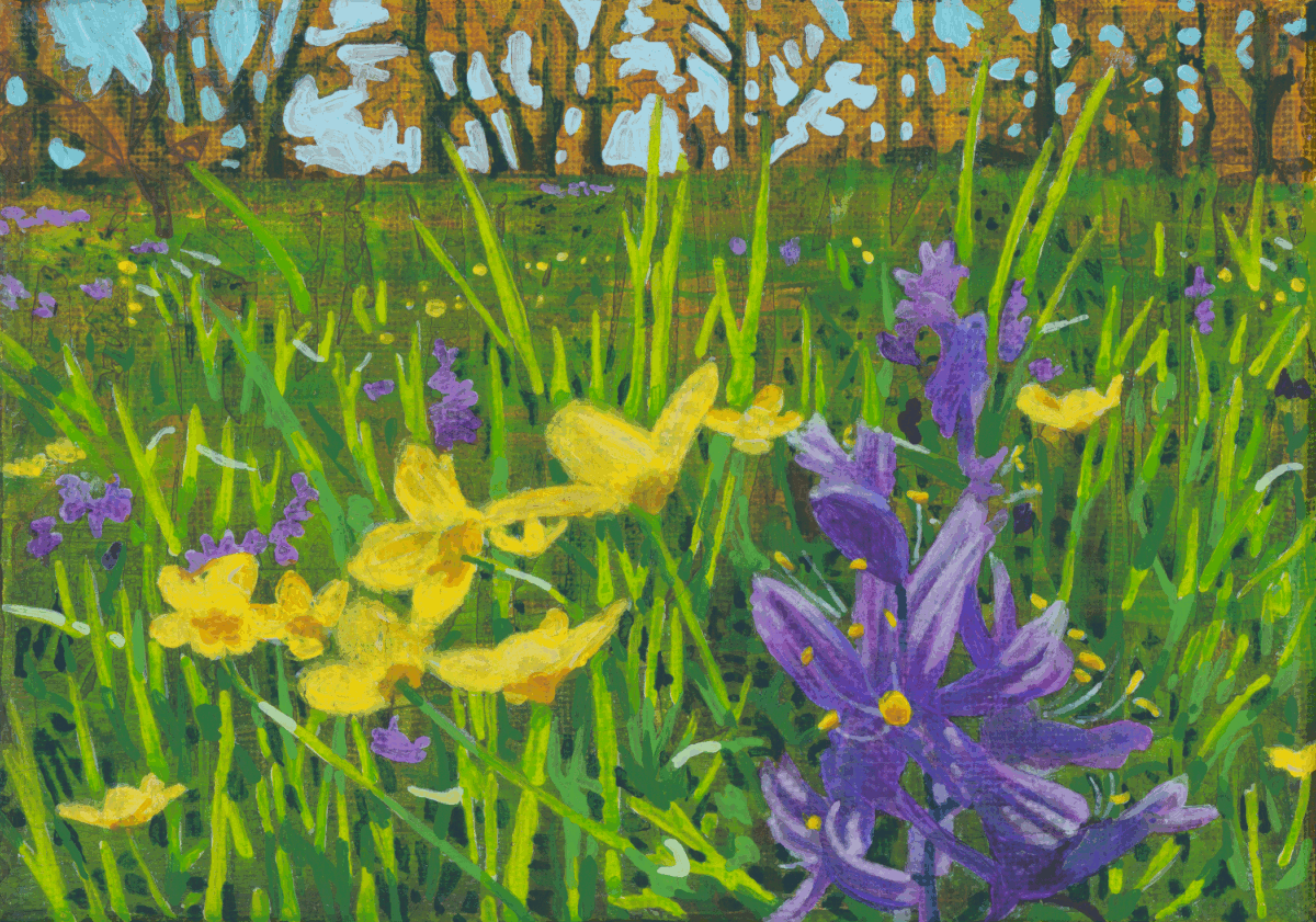 2025 5x7 Blue Meadow 72 ppi 8 bit 1200 px.png