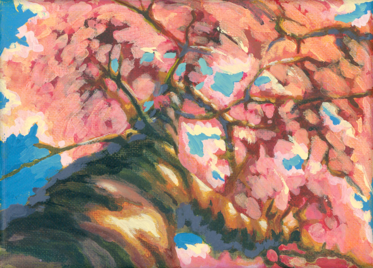 Cherry Blossoms - Original Painting