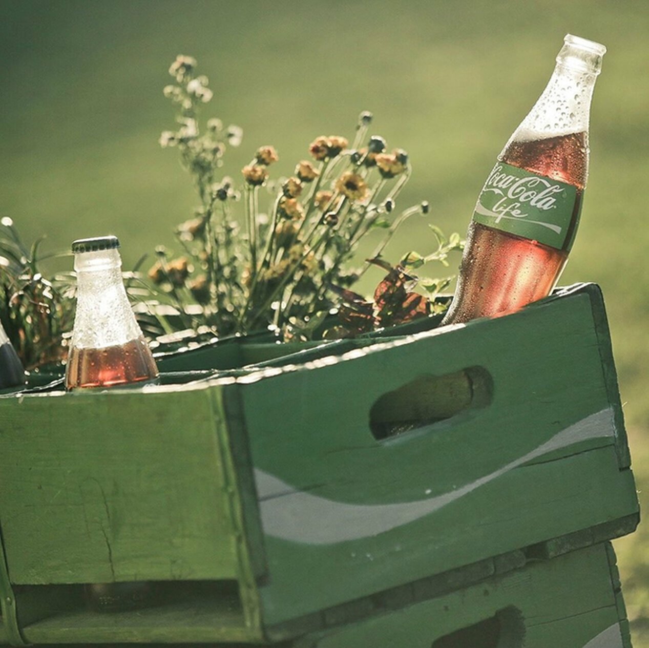 coca-cola-crate-photo_jpg_662x0_q100_crop-scale.jpg