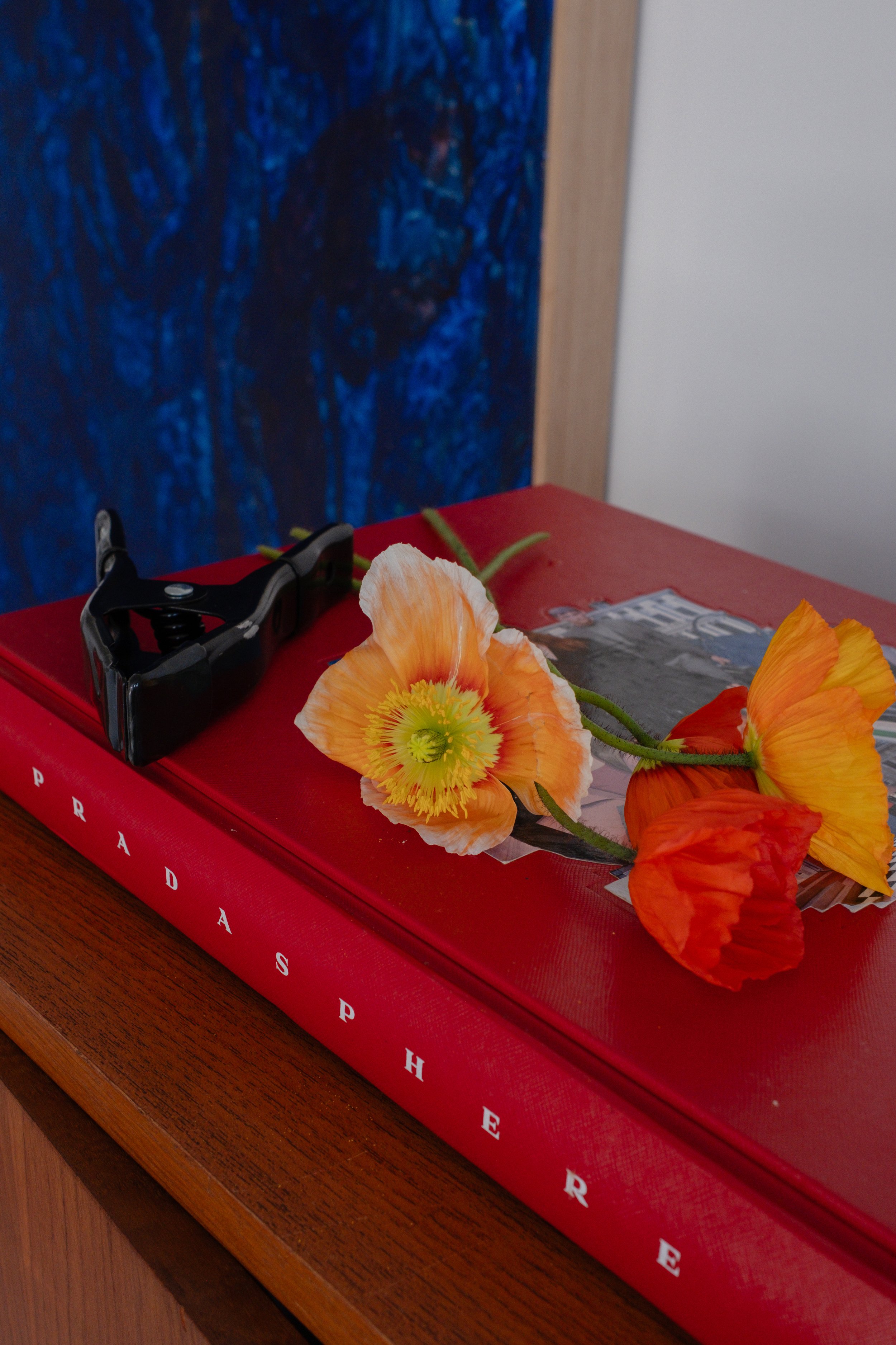 MJ x Narjia Brownlie BTS (12 of 12).jpg