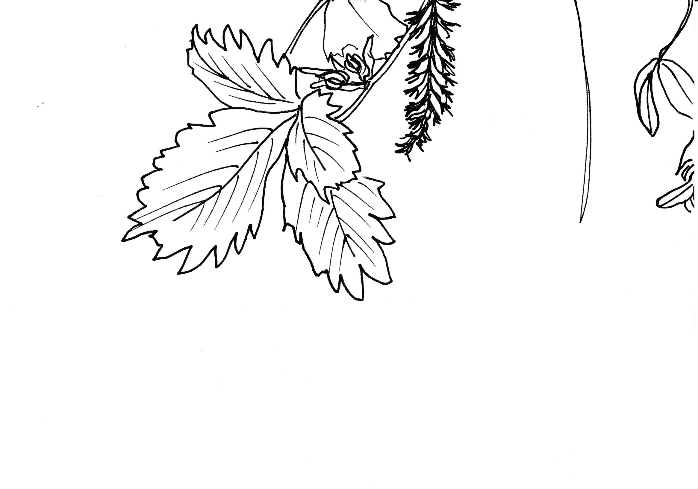 Skizzen_Graskiste 3.jpeg