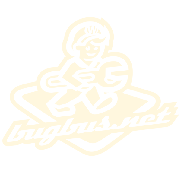 www.bUGbUs.nEt (Kopie)