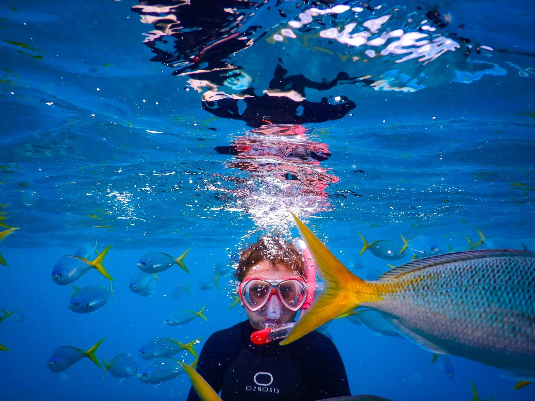 Sunlover — Moore Reef — Cairns