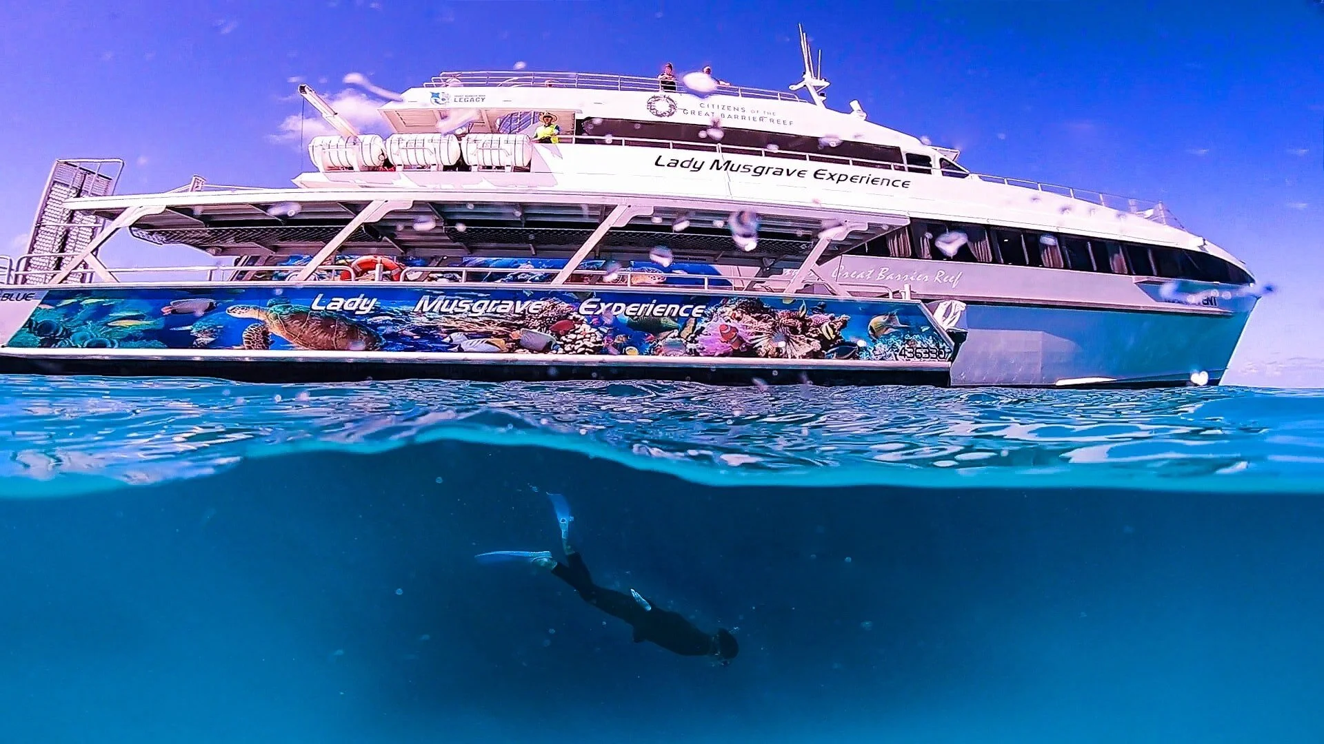 Lady Musgrove Island — Bundaberg/1770