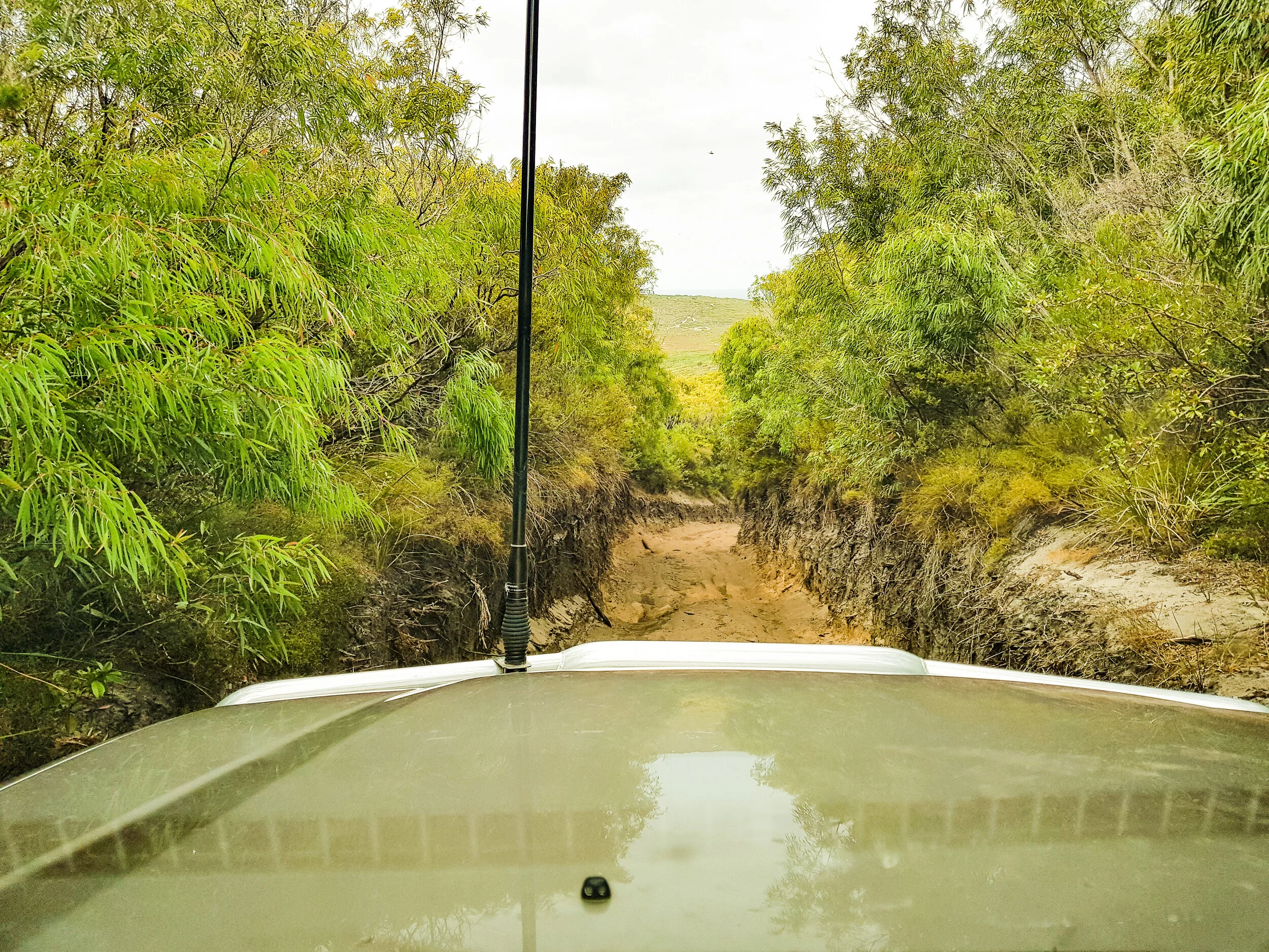West Cape Howe National Park