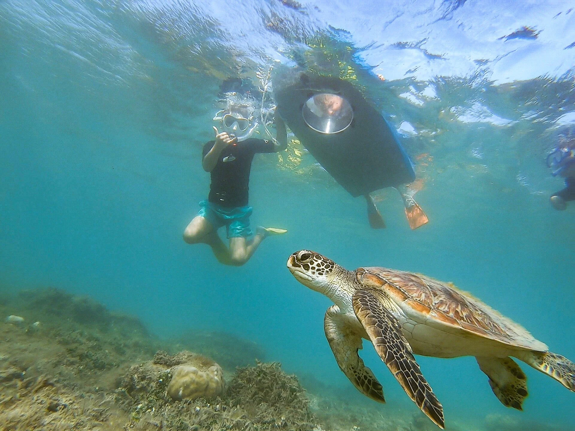 Redback Sea View Body Board