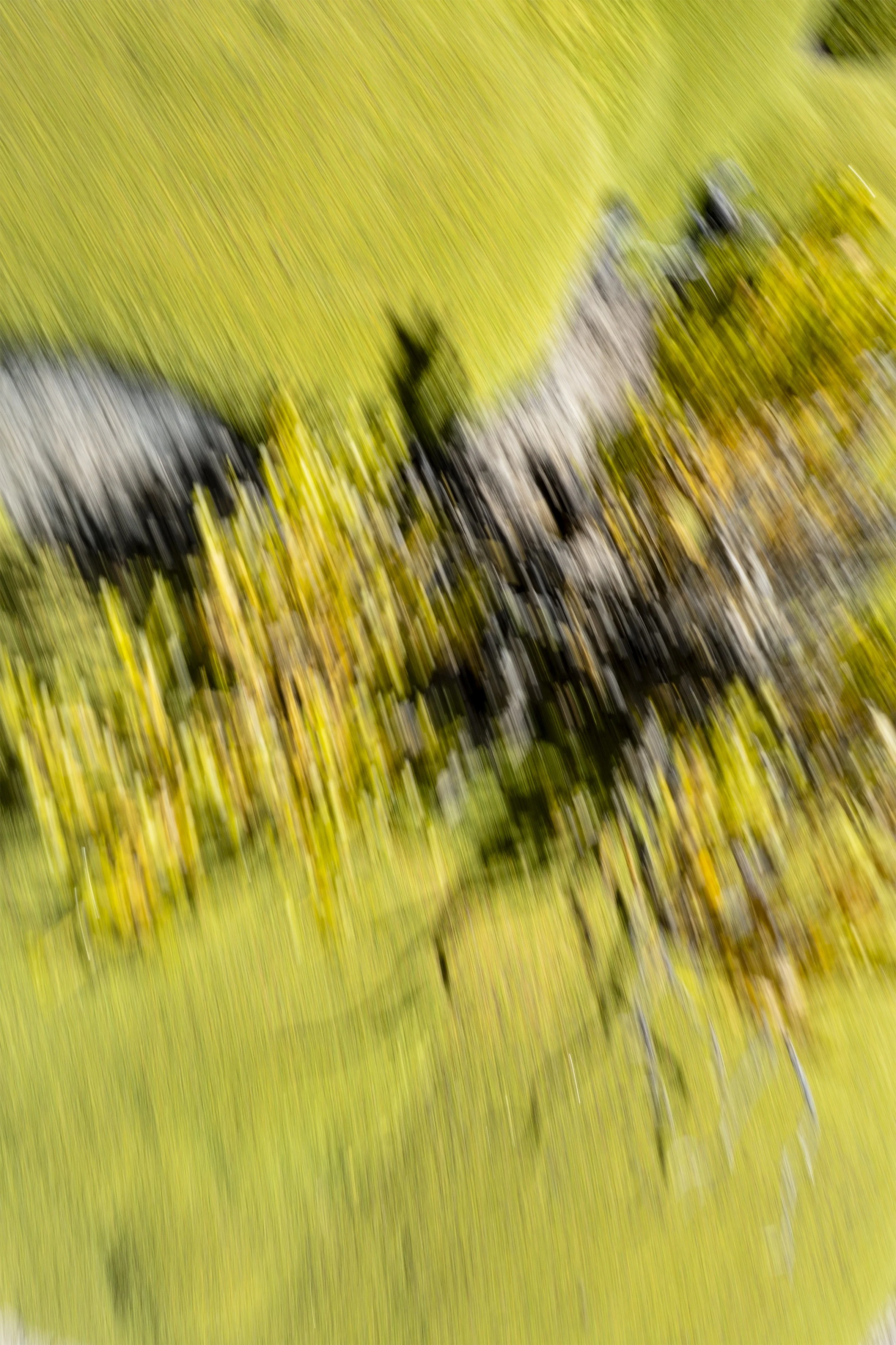 Fotokunst