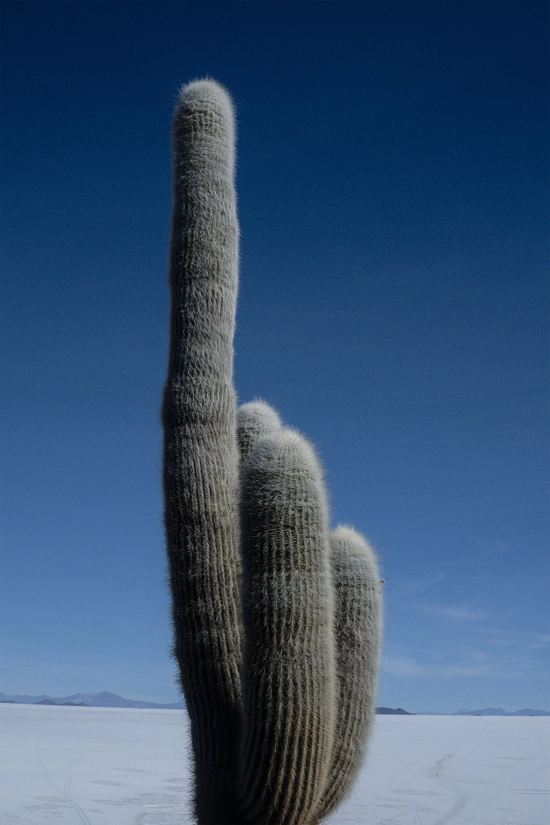 Fotokunst