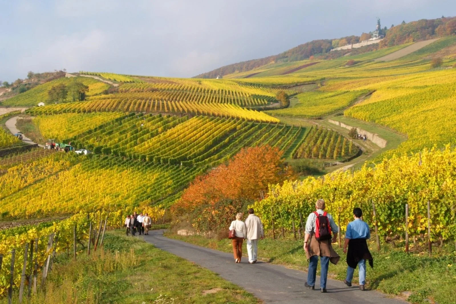 Goldener Oktober 2026 in Rüdesheim am Rhein