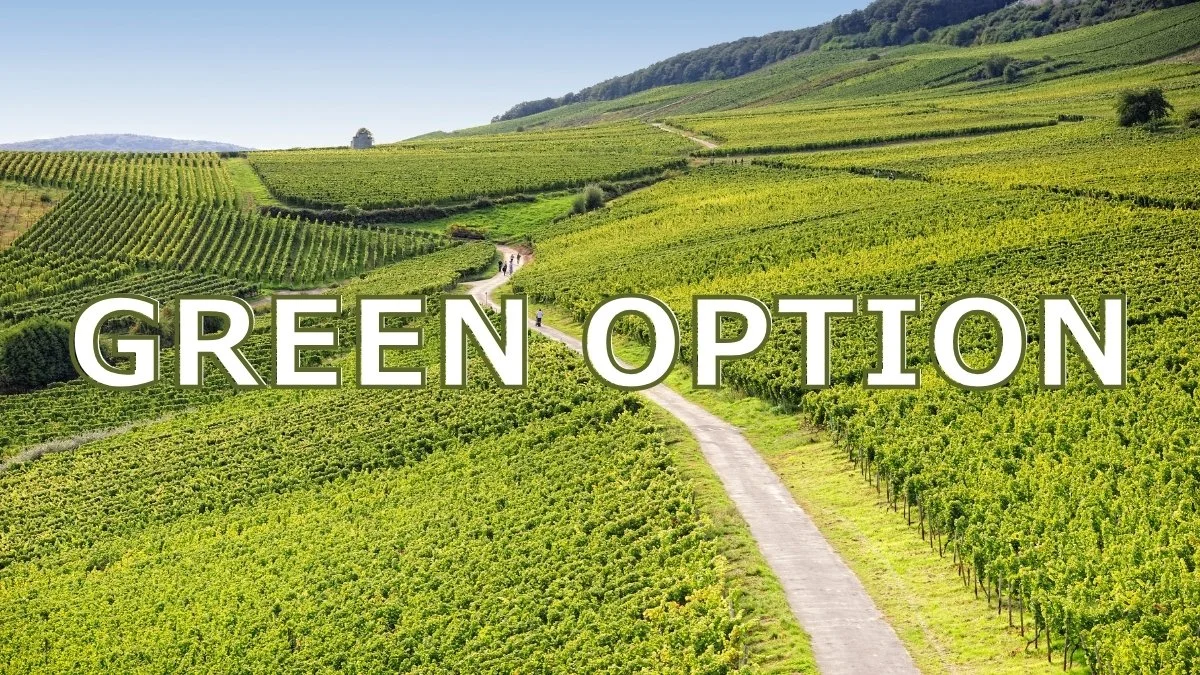 Green-Option_16-9.jpg