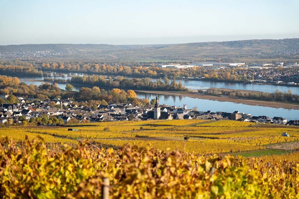 Ruedesheim_Herbst-Web.jpg