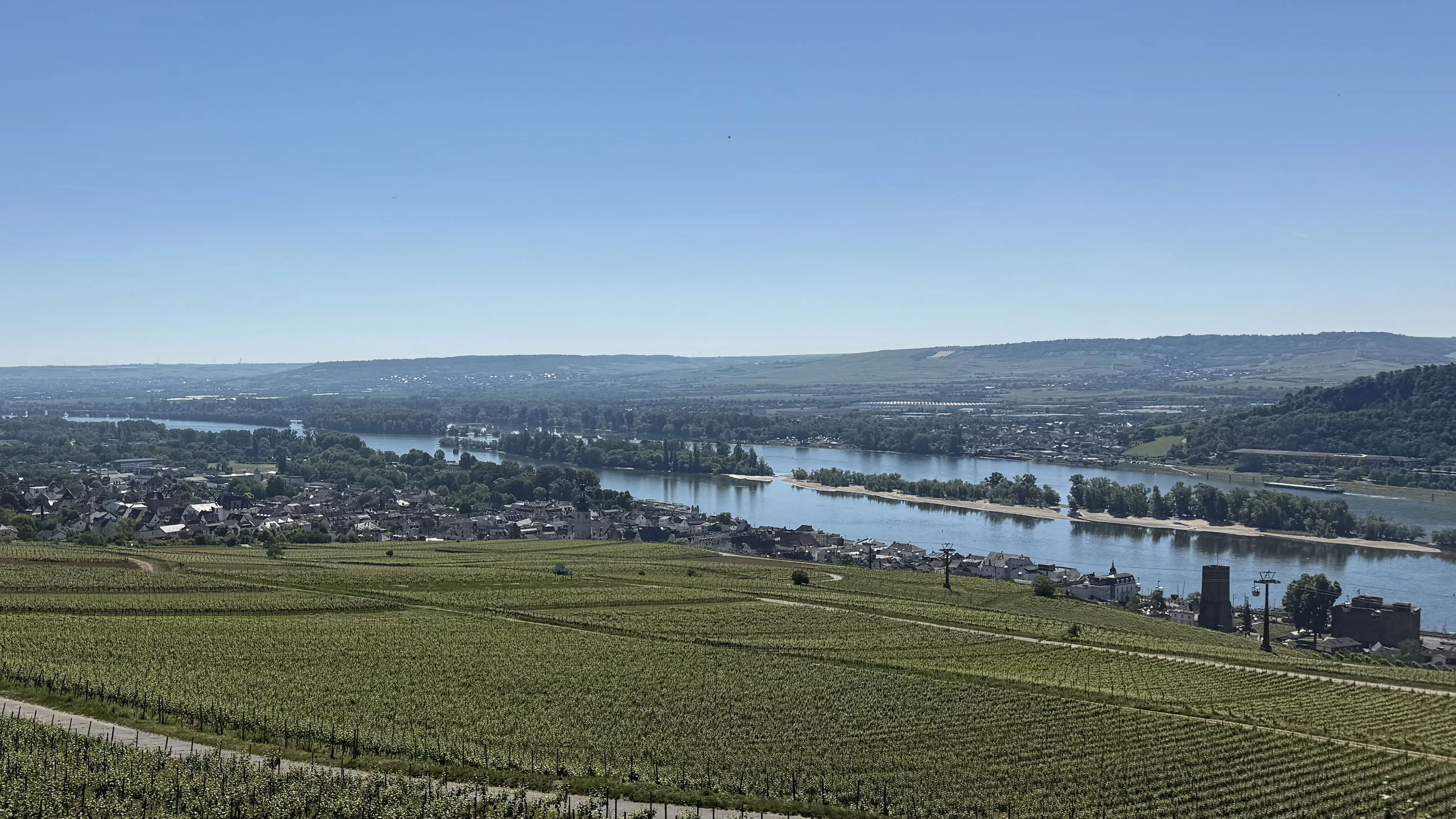 260525_Ruedesheim_16-9.webp