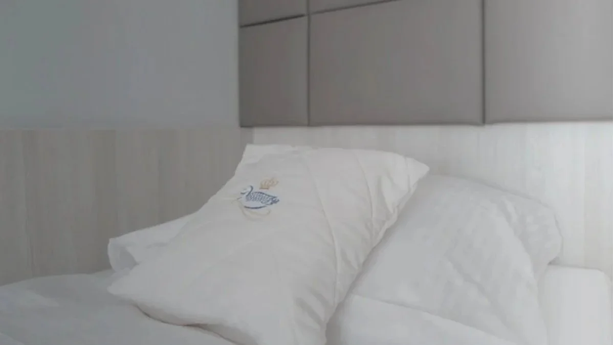 Standard-Single-Room-Pillow-16_9.jpg