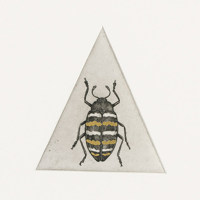 bug-print_guy-allen.jpg