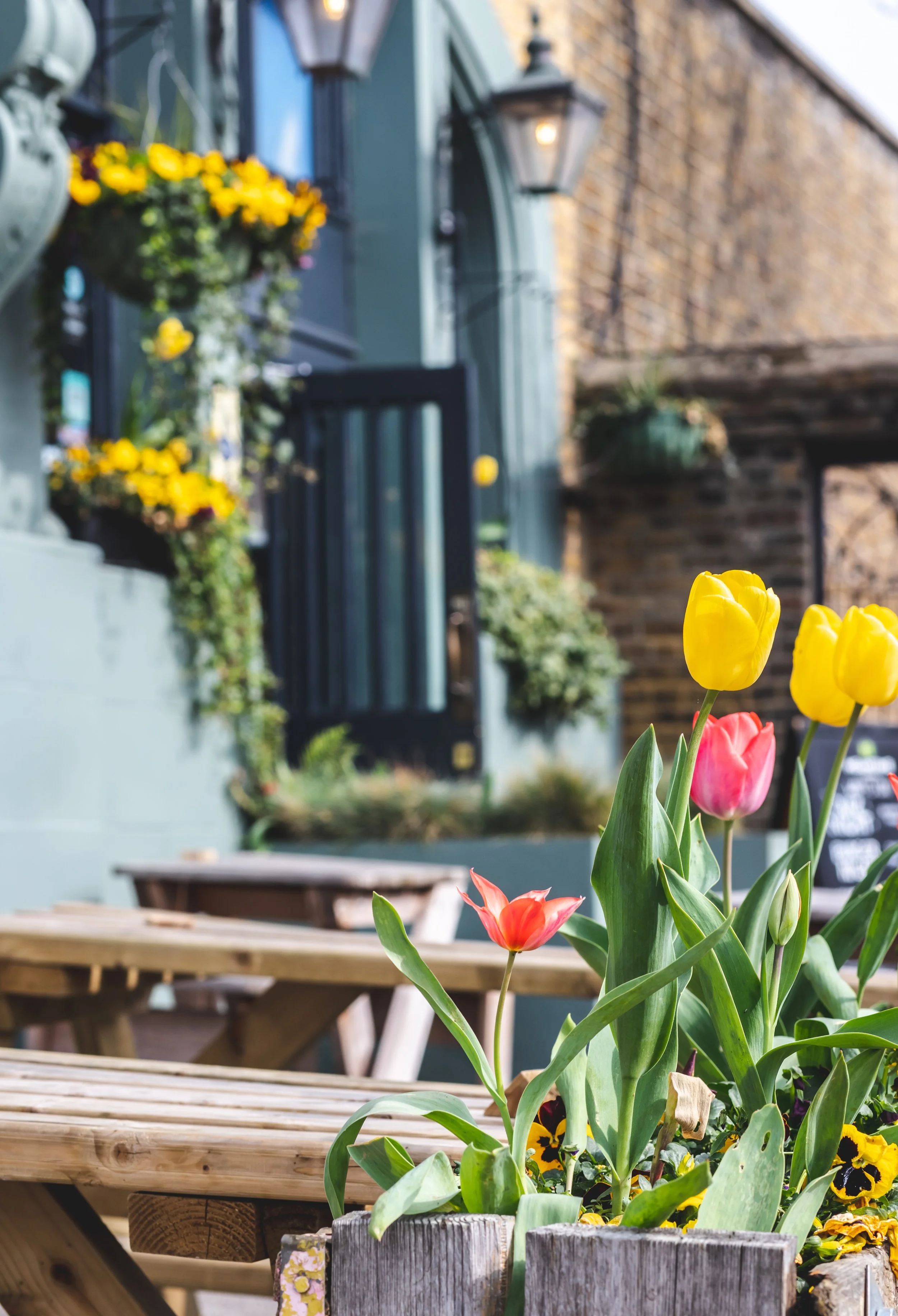 Best pub in Tooting