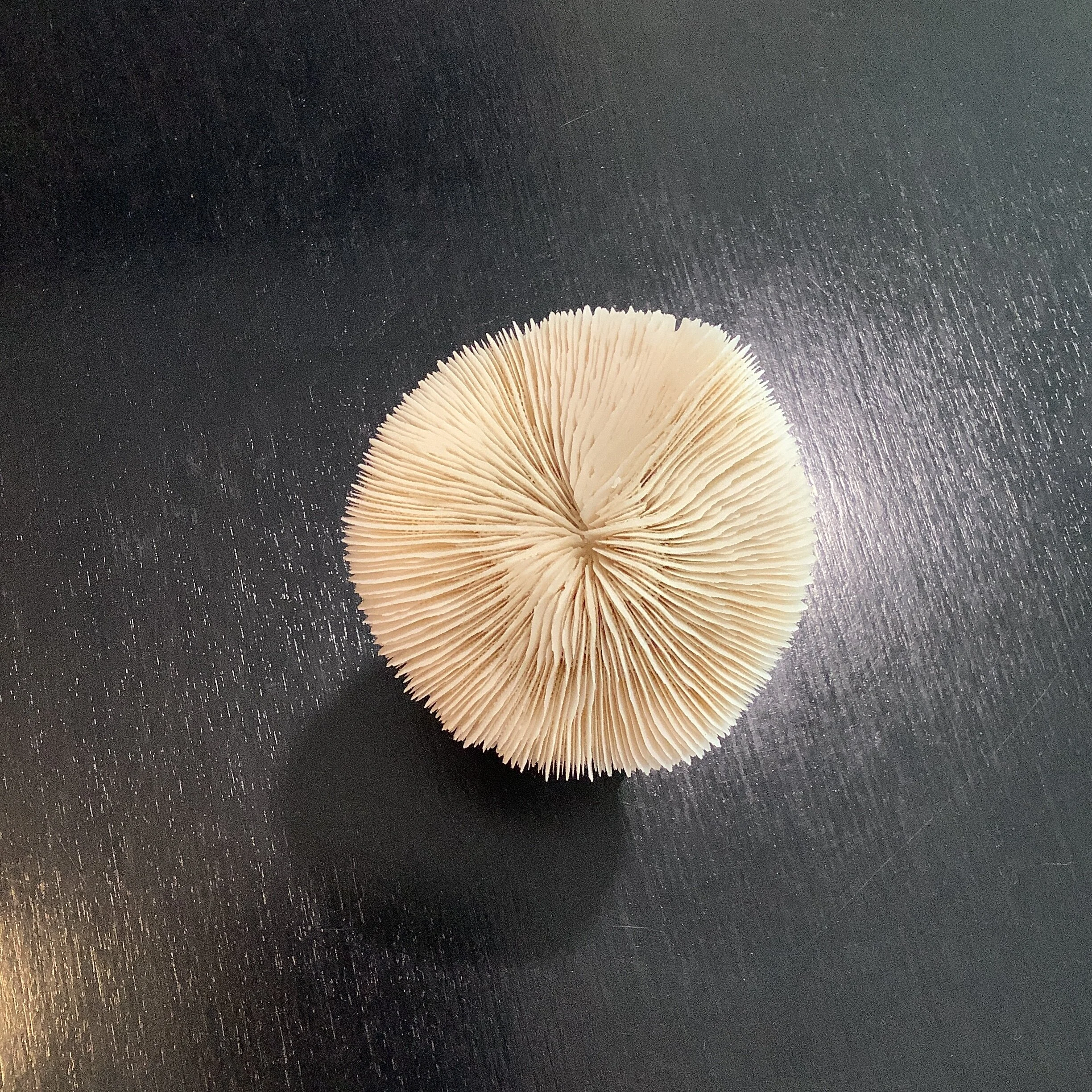 F5D877C6-78BC-42FB-9A3C-6BDFD0C4AB39