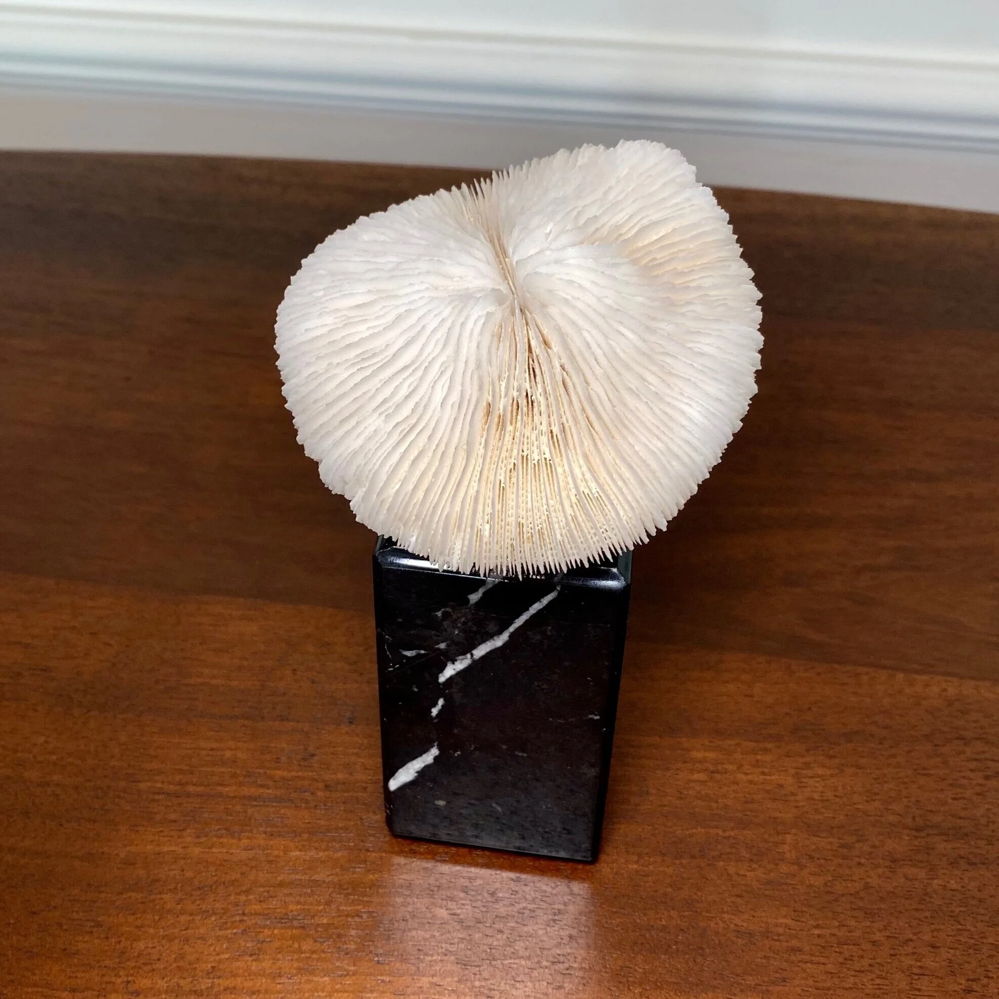 vintage Mushroom Koralle auf Marmorsockel