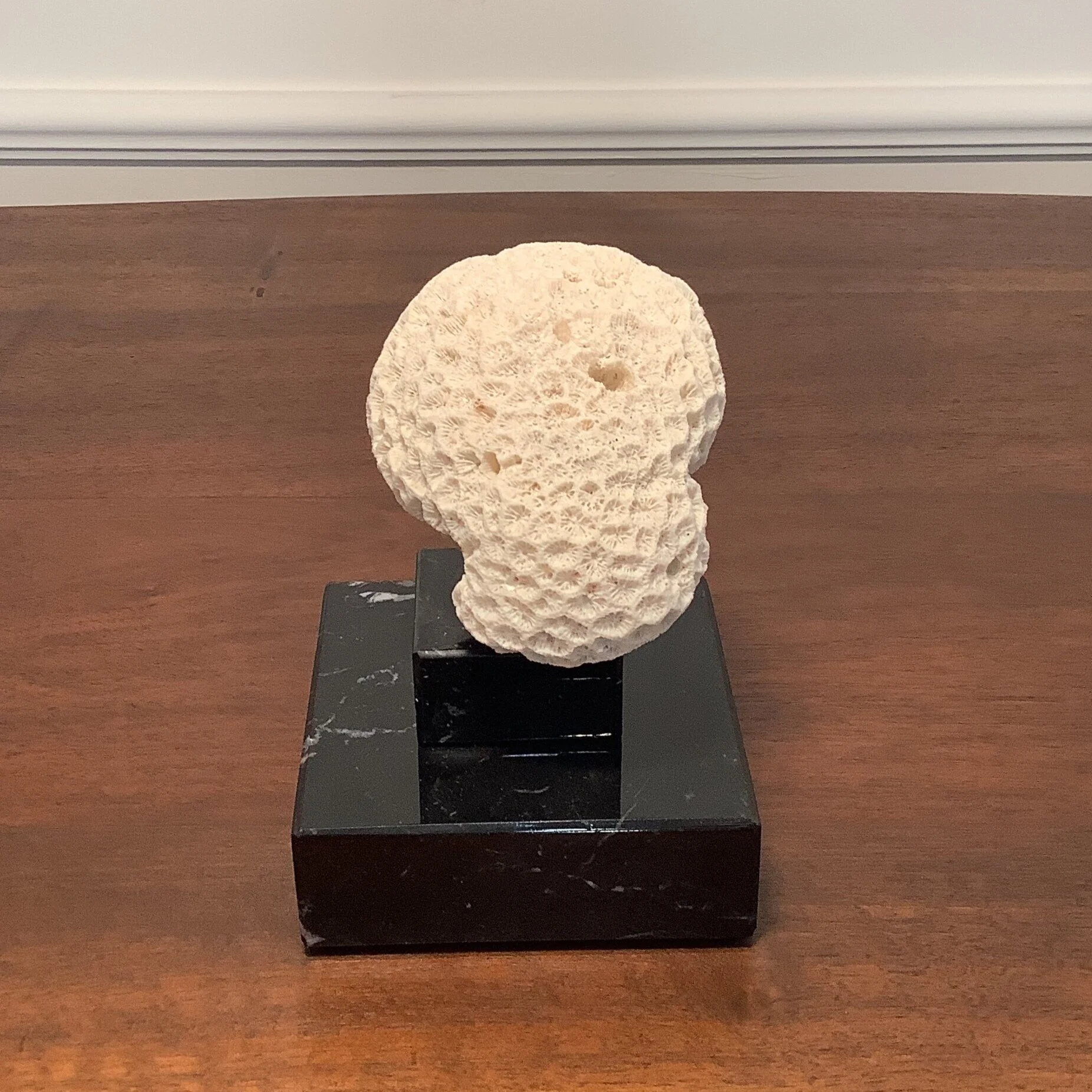 Vintage Hirnkoralle auf schwarzem Marmorsockel