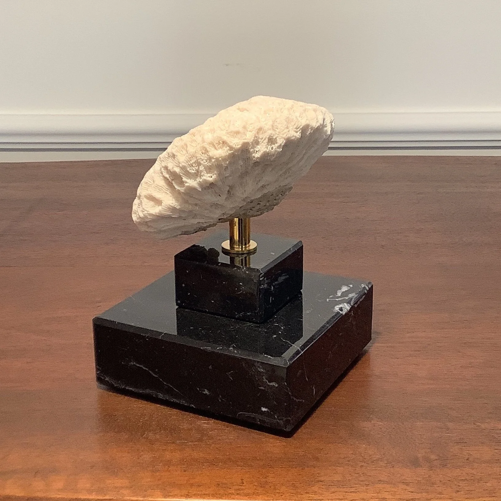 Vintage Hirnkoralle auf schwarzem Marmorsockel