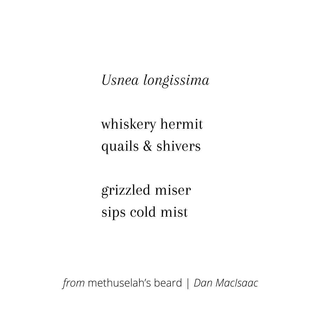 methuselah’s beard