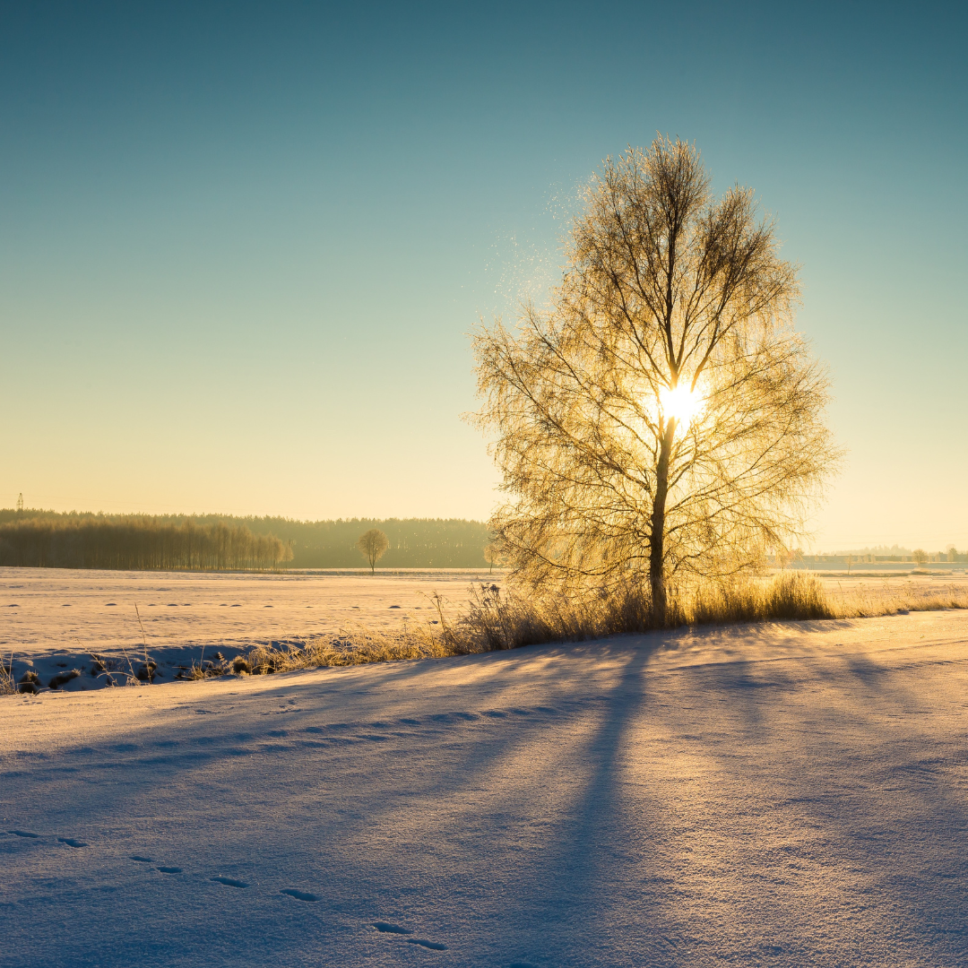 Readers Respond: Light