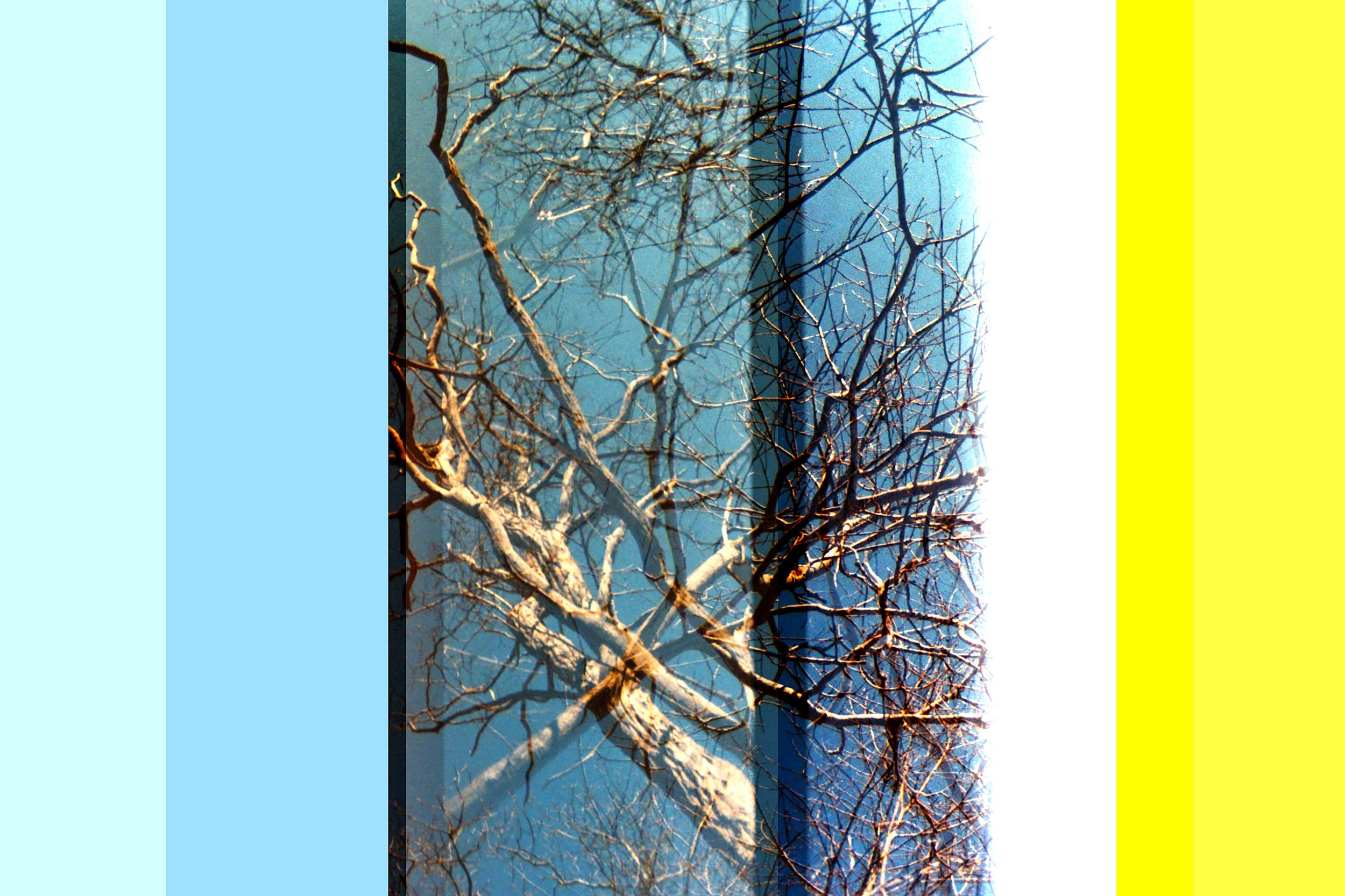 Transitory Space 4010 #1Bx1