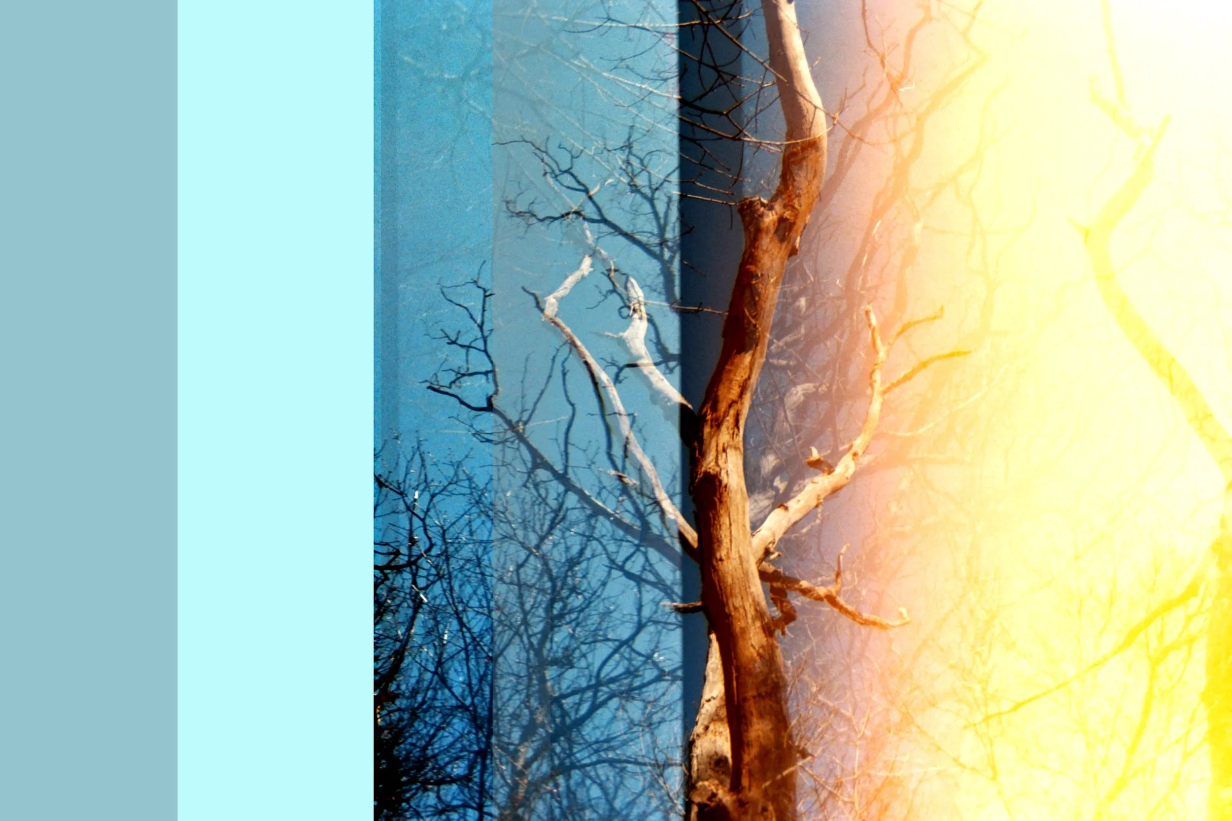 Transitory Space 4010 #3