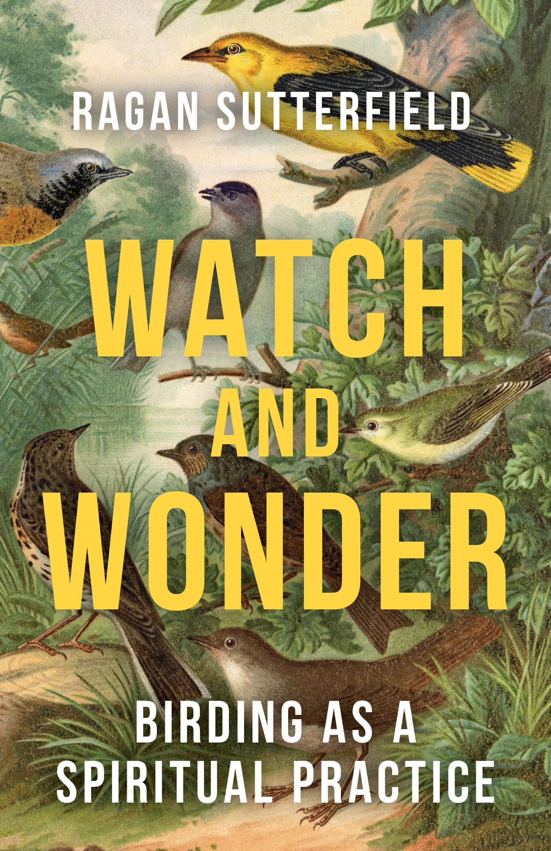 The Spiritual Practice of Birding