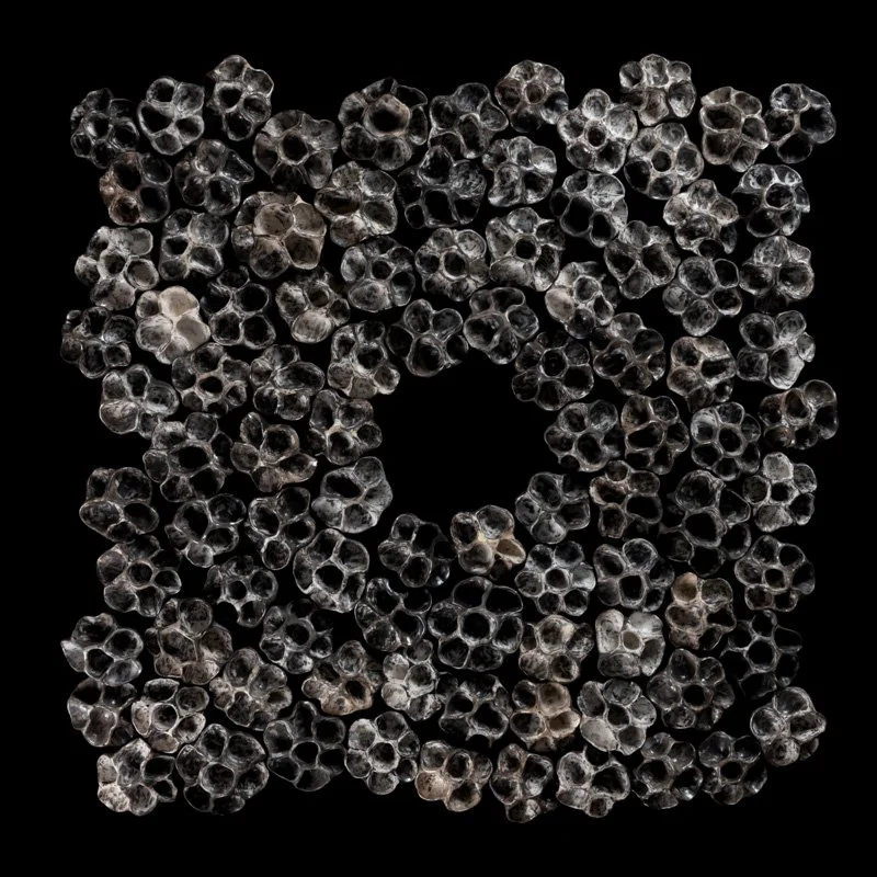 Al Fatiha: The Opening