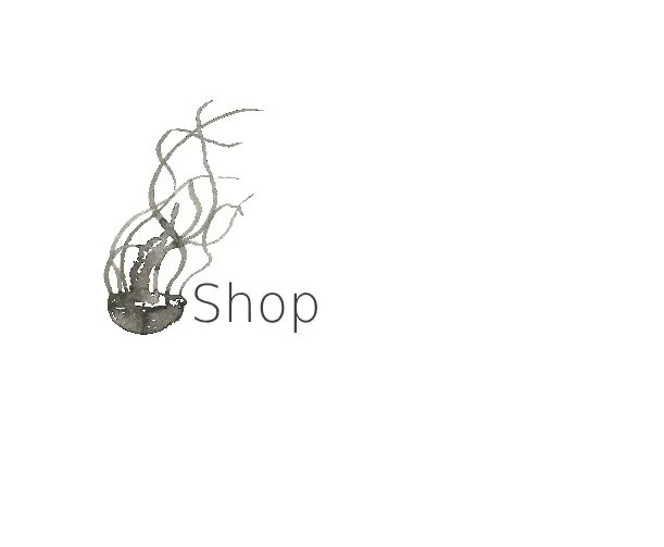 shop.jpg