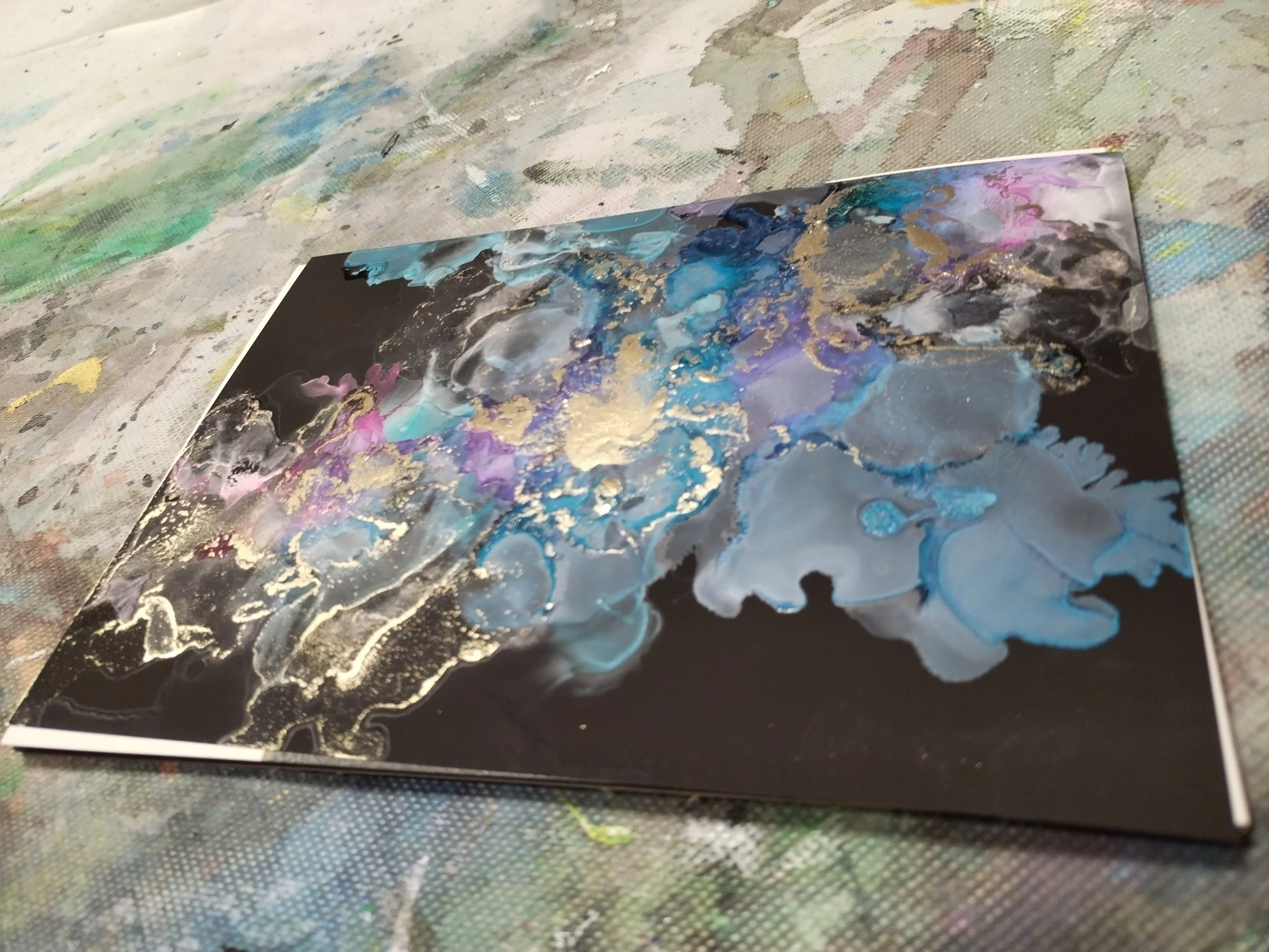 IMG_20260203_154054.jpg (Kopie)