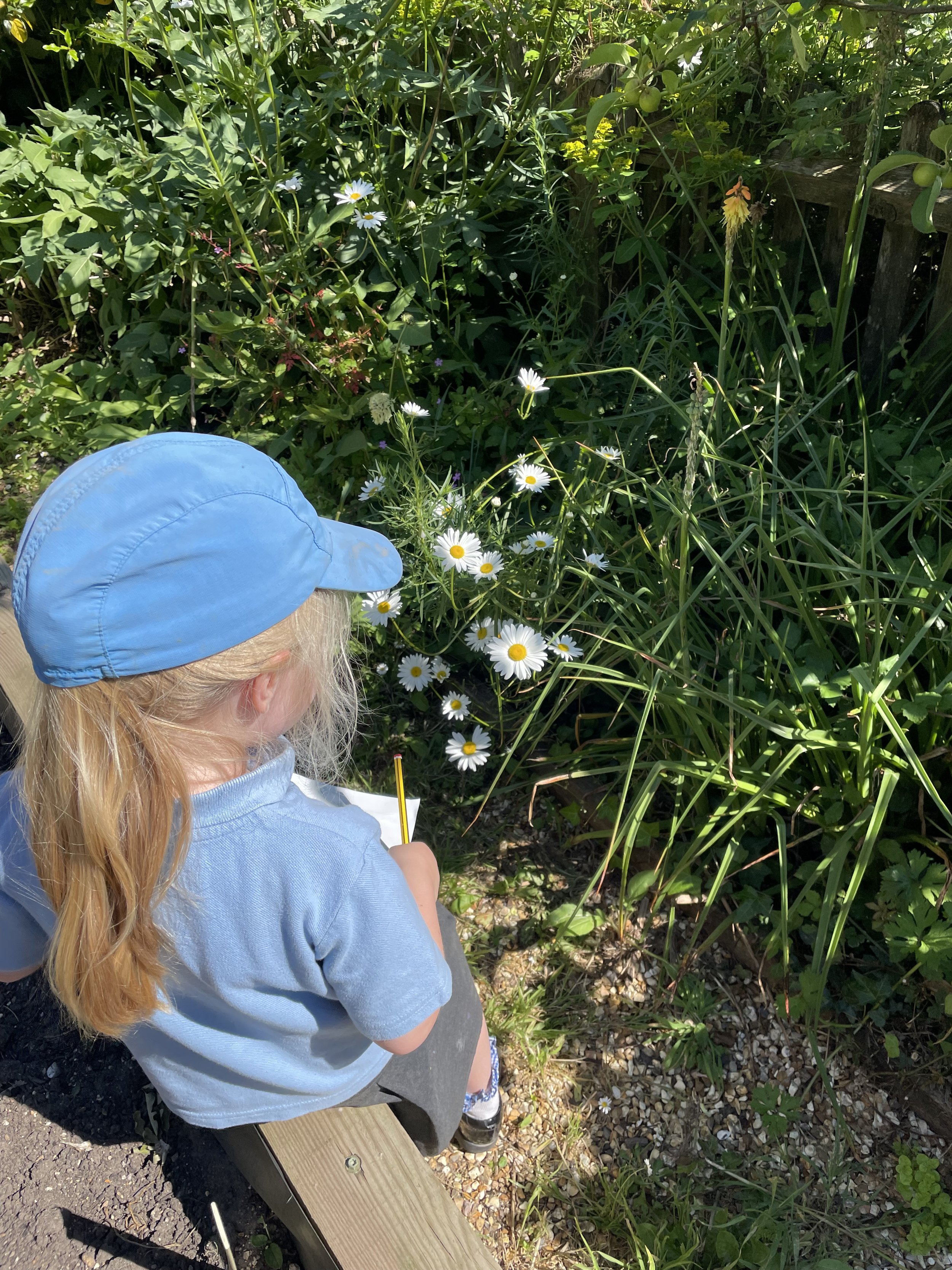 IMG_1083.jpeg