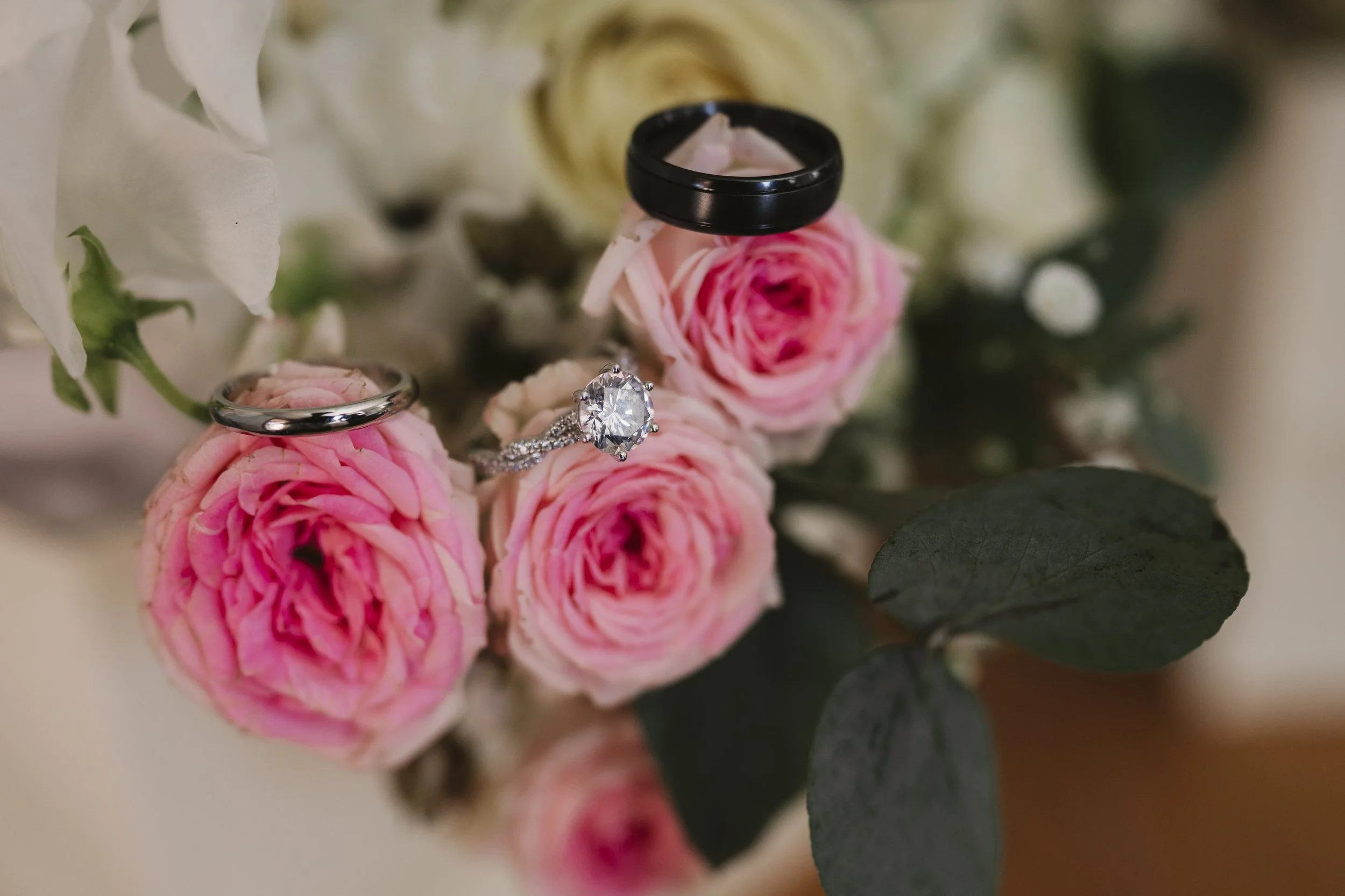Close-up of pink and white roses with three rings: a silver band, a diamond engagement ring, and a black wedding band, resting on the roses.